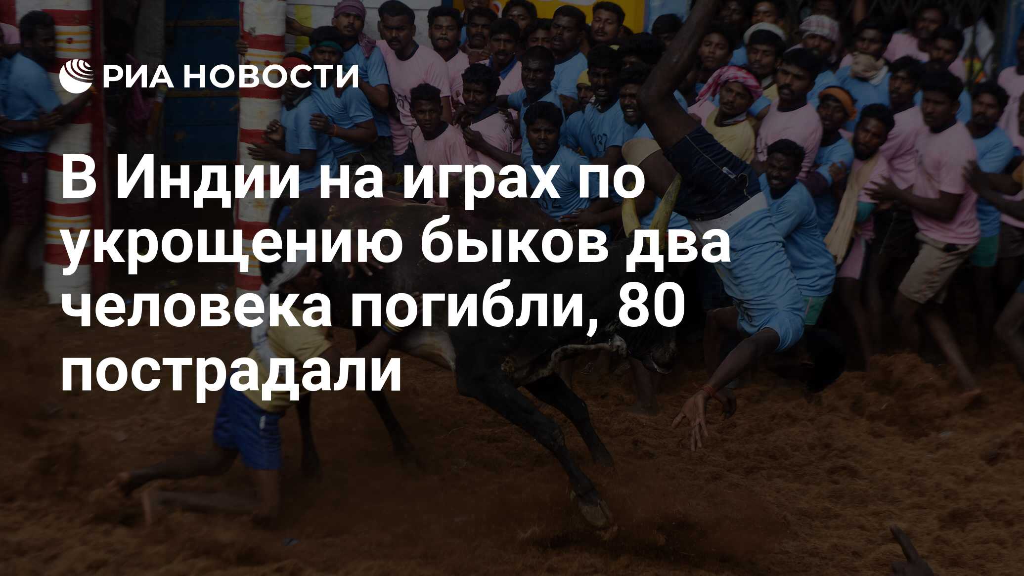 В Индии на играх по укрощению быков два человека погибли, 80 пострадали -  РИА Новости, 17.04.2017