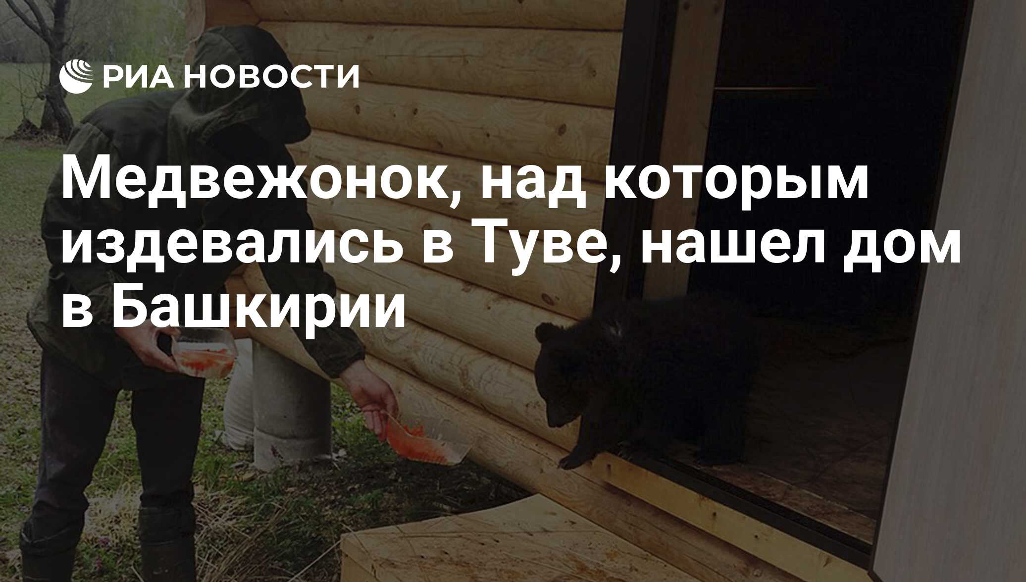 Медвежонок, над которым издевались в Туве, нашел дом в Башкирии - РИА  Новости, 10.05.2017