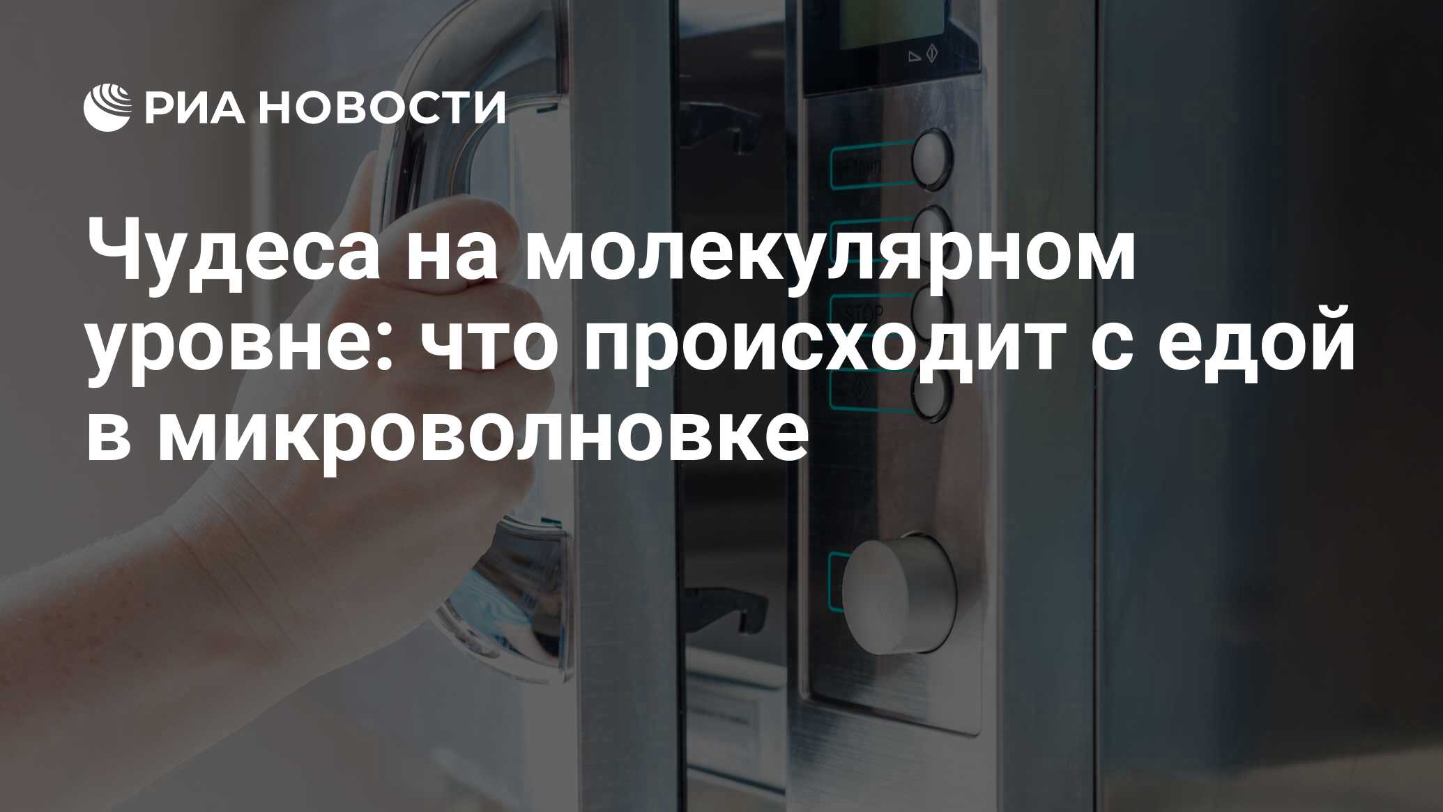 Чудеса на молекулярном уровне: что происходит с едой в микроволновке - РИА  Новости, 28.06.2017