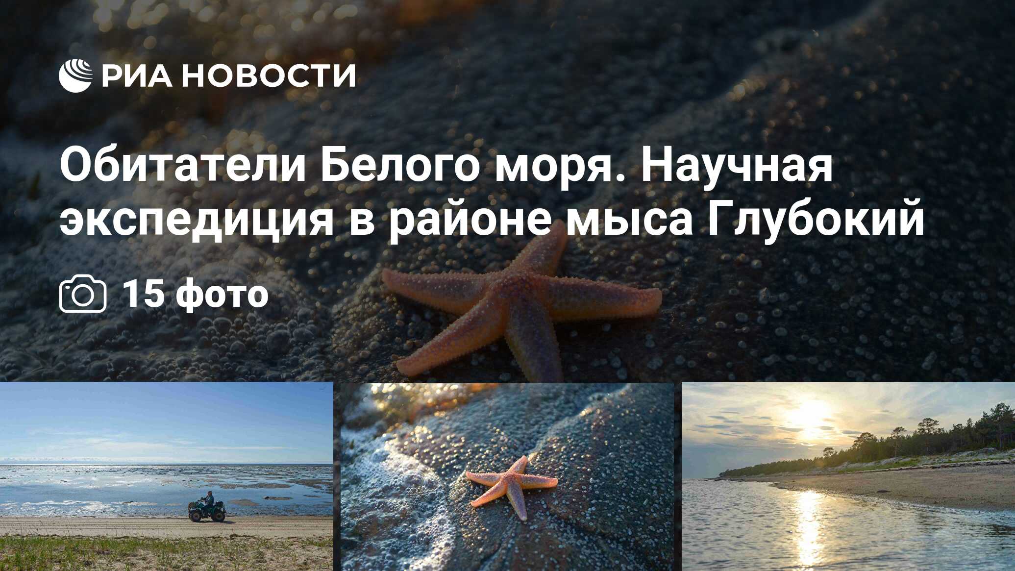 Белое море характеристика