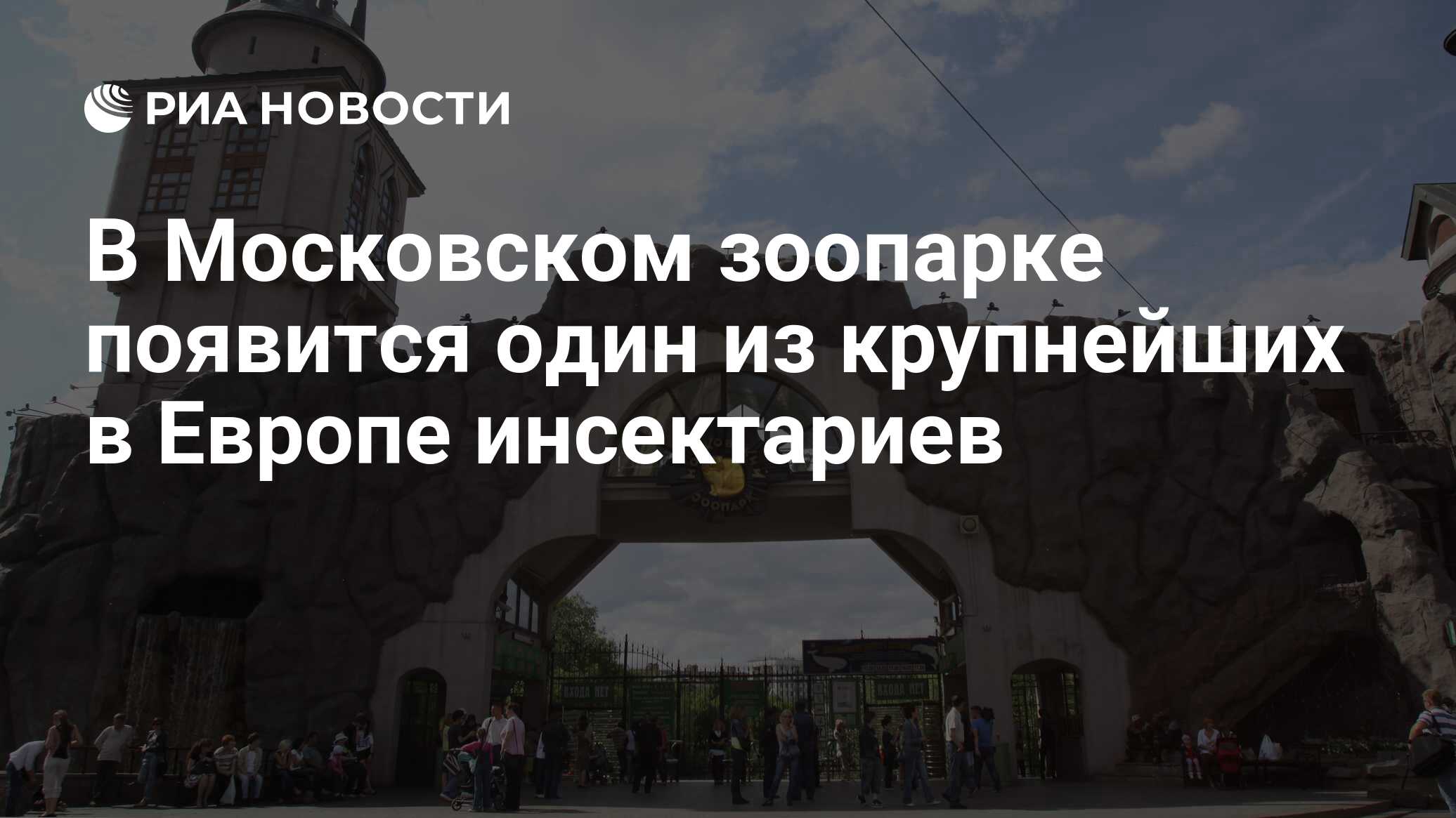 В Московском зоопарке появится один из крупнейших в Европе инсектариев -  РИА Новости, 30.08.2017