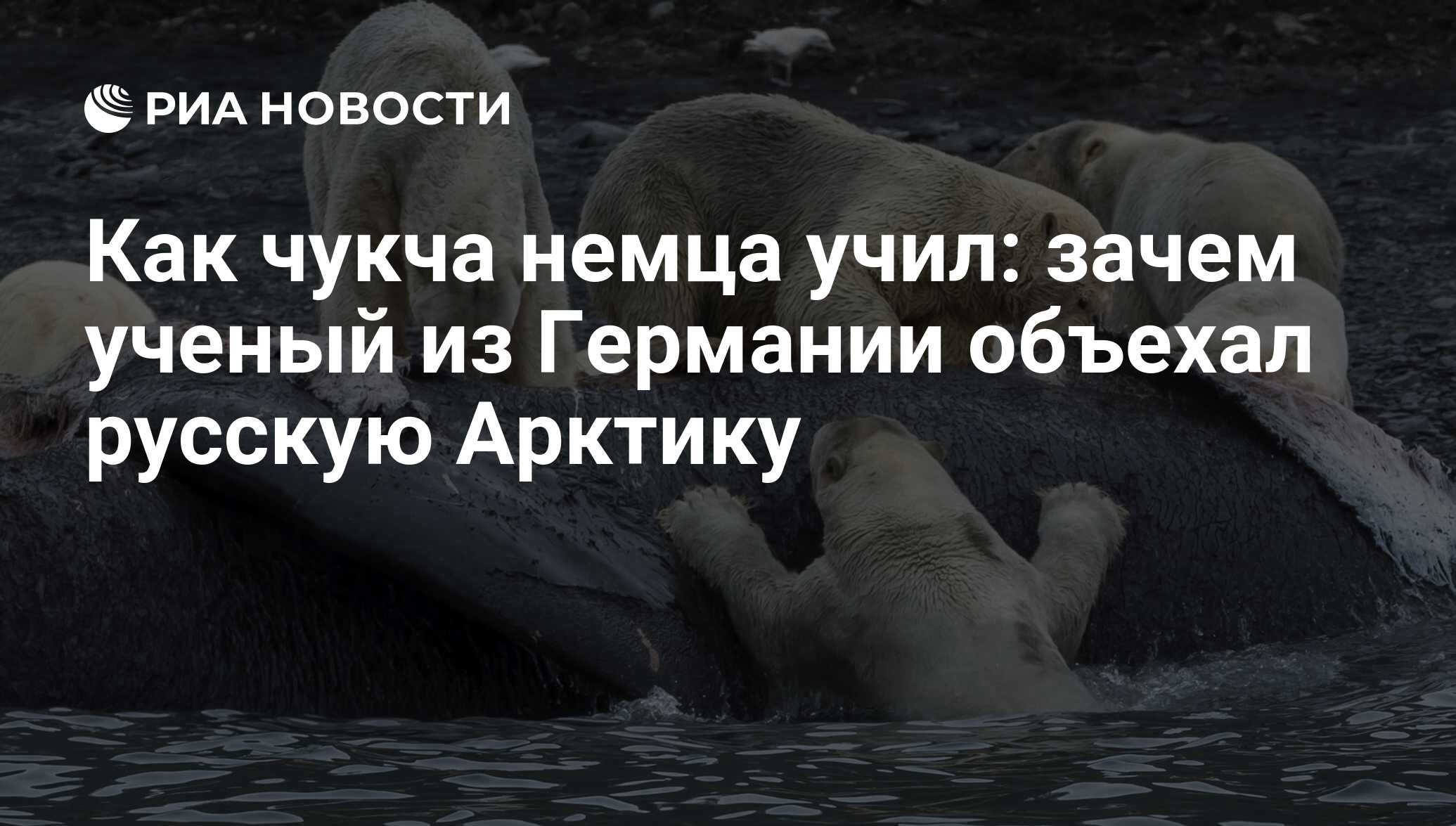 Как чукча немца учил: зачем ученый из Германии объехал русскую Арктику -  РИА Новости, 03.10.2017