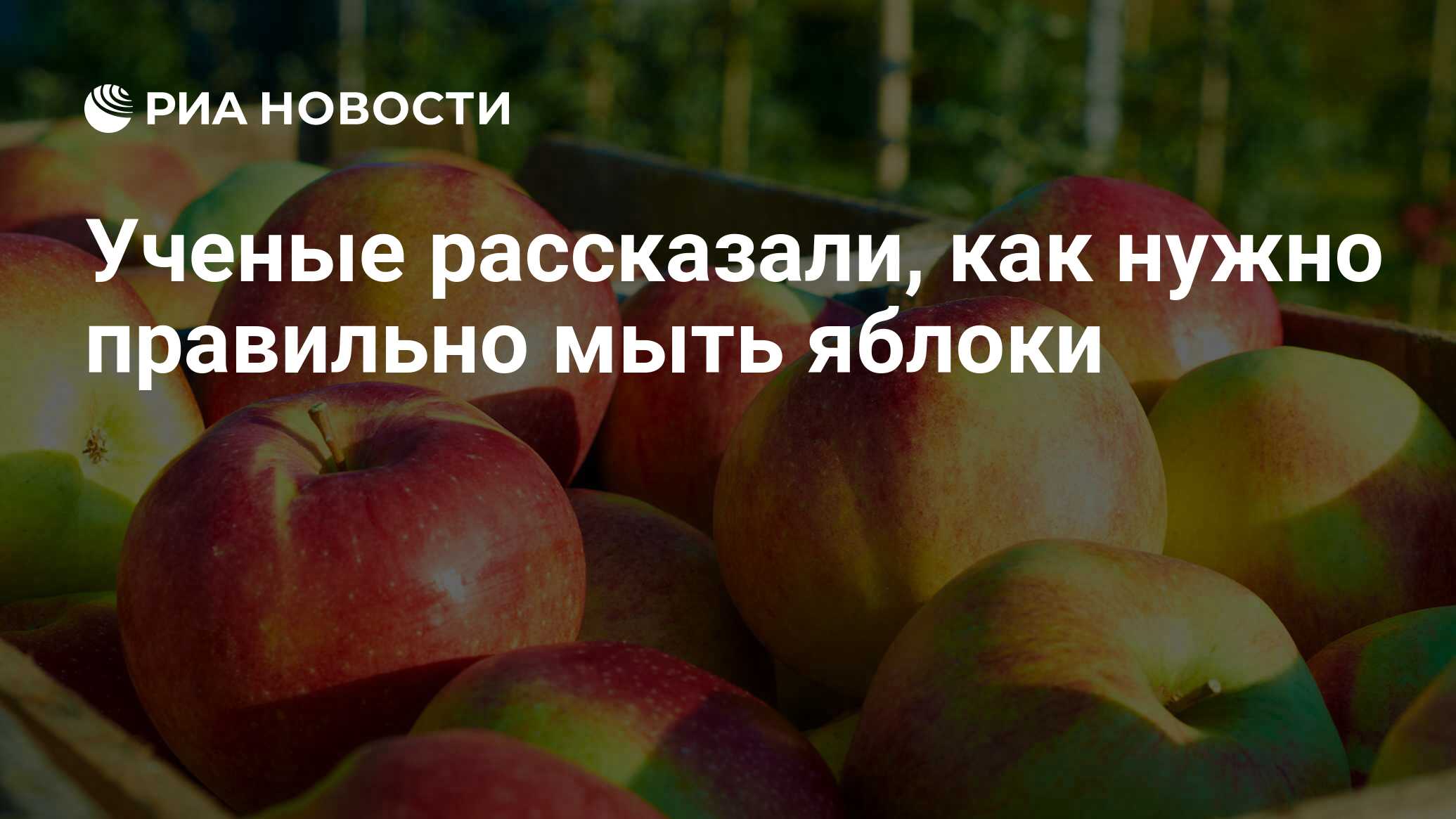 Ученые рассказали, как нужно правильно мыть яблоки - РИА Новости, 25.10.2017