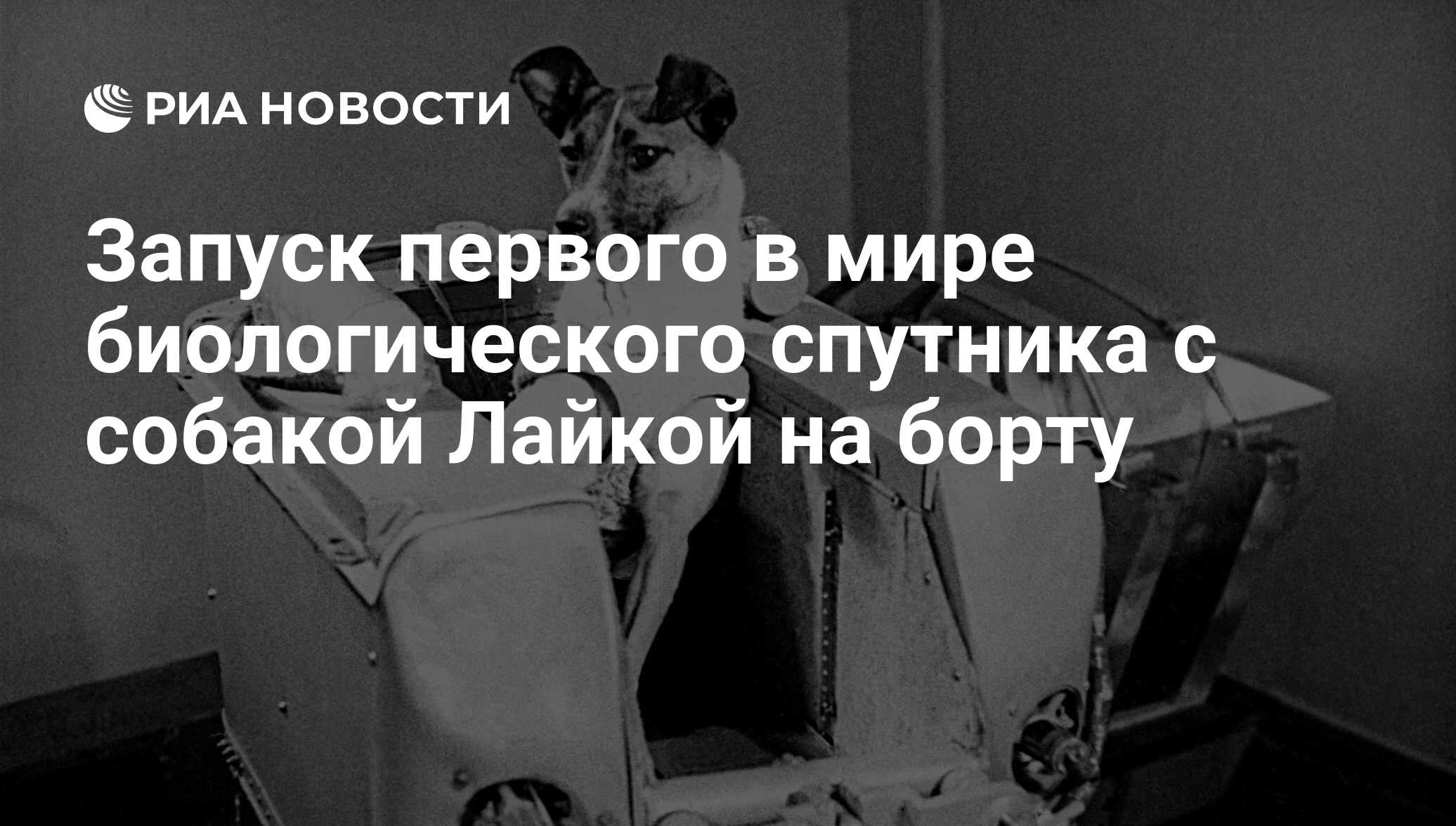 Запуск первого в мире биологического спутника с собакой Лайкой на борту -  РИА Новости, 03.11.2017