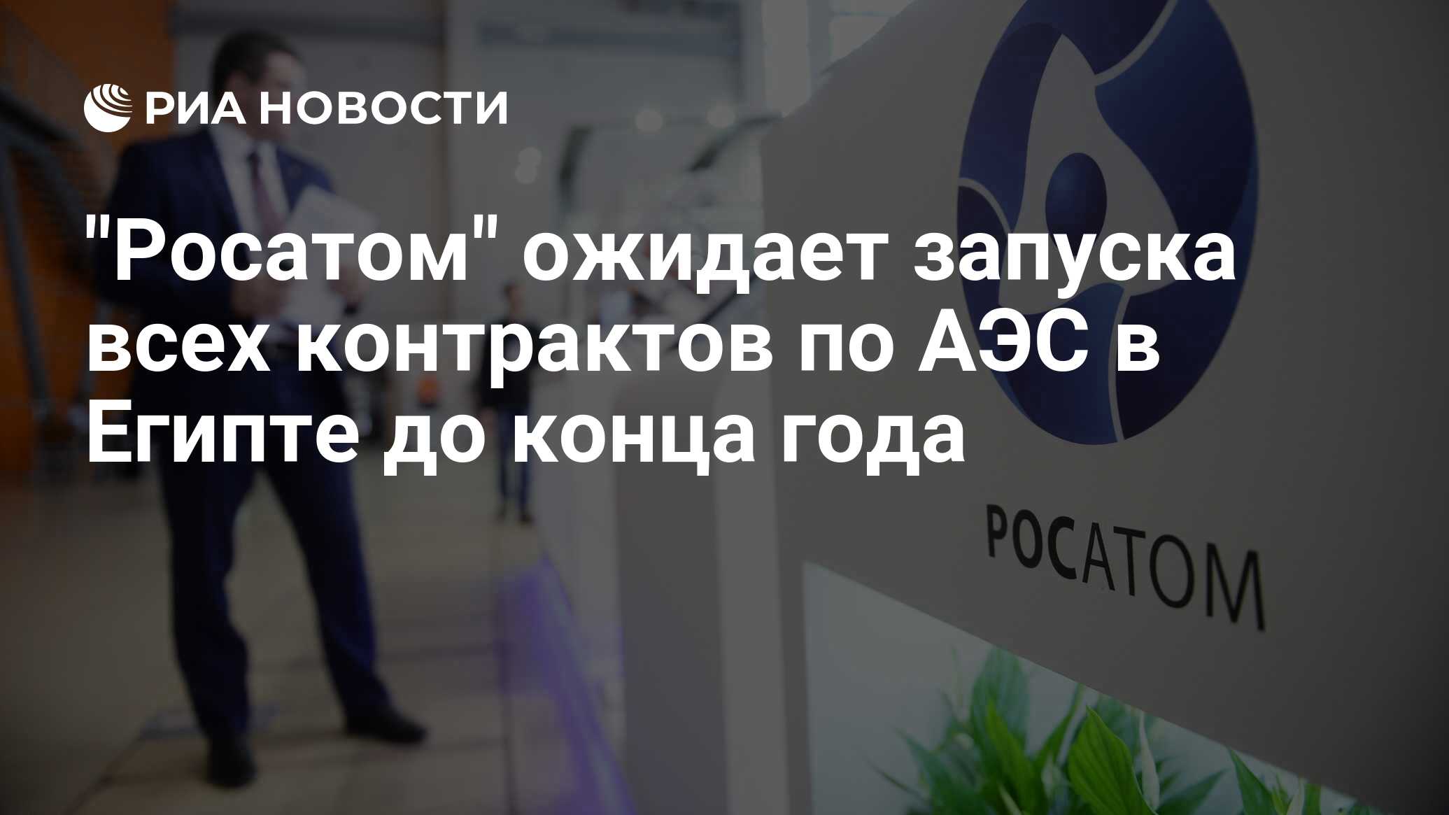 Росатом ожидает запуска всех контрактов по АЭС в Египте до конца года