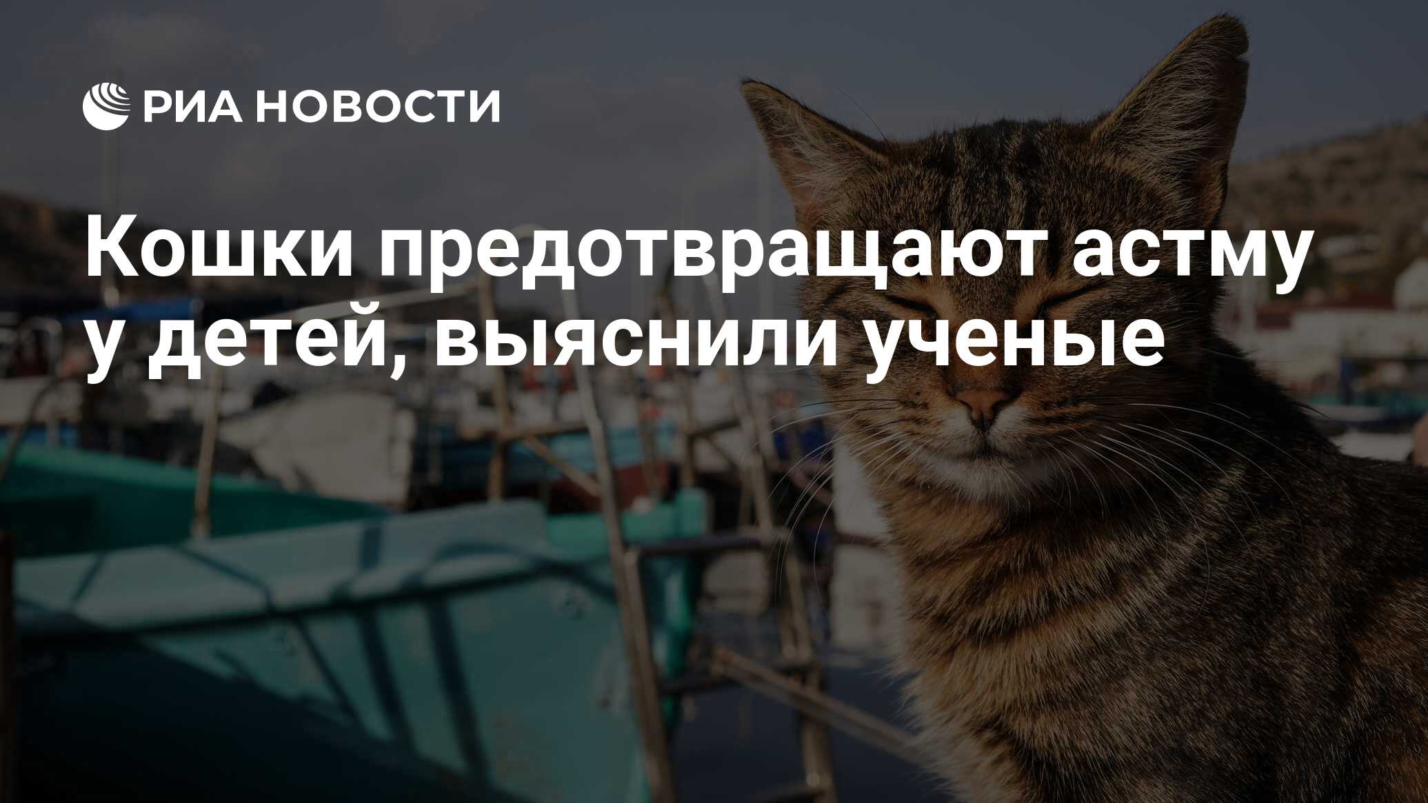 Кошки предотвращают астму у детей, выяснили ученые - РИА Новости, 10.11.2017