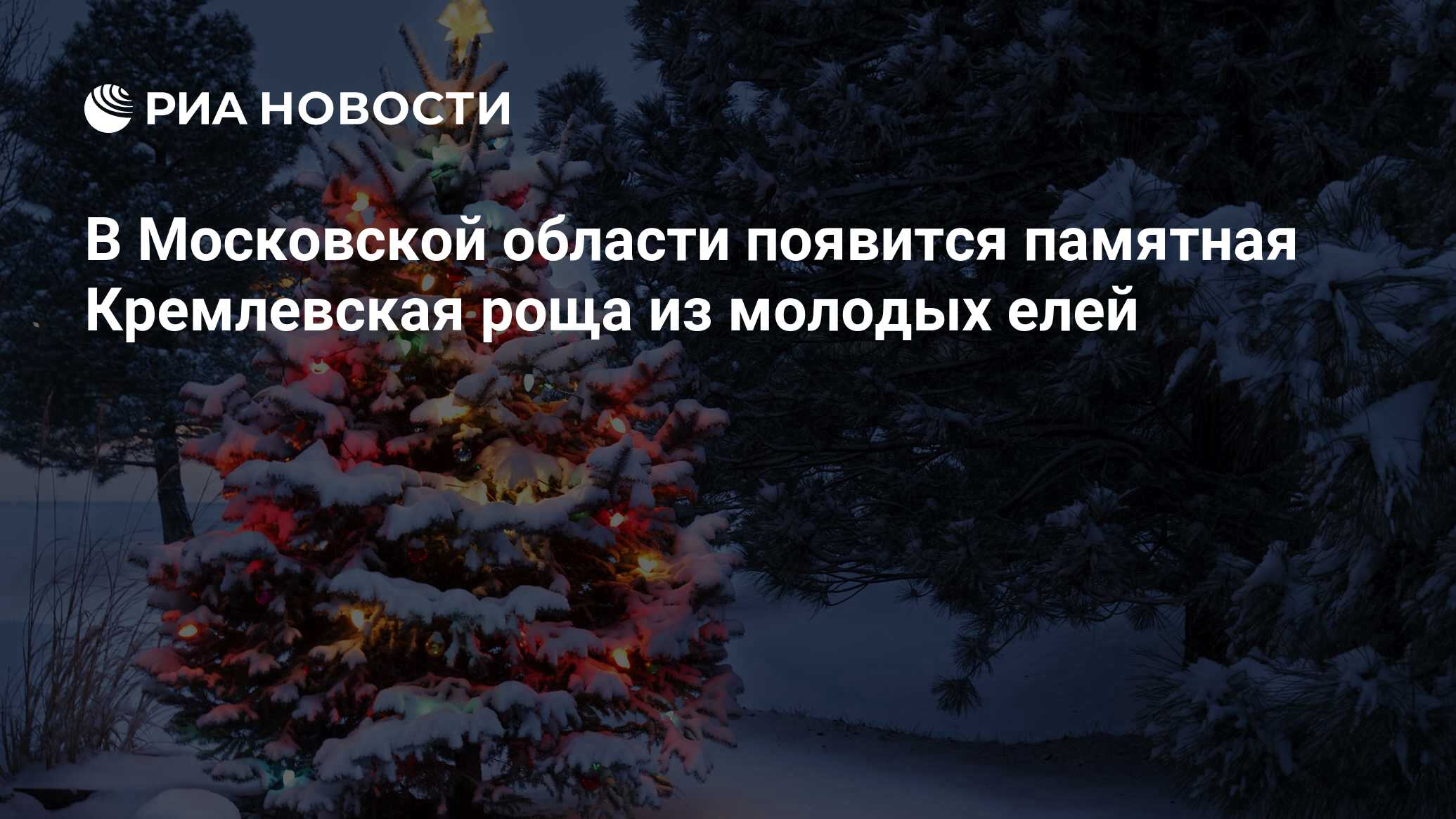 В Московской области появится памятная Кремлевская роща из молодых елей -  РИА Новости, 03.03.2020