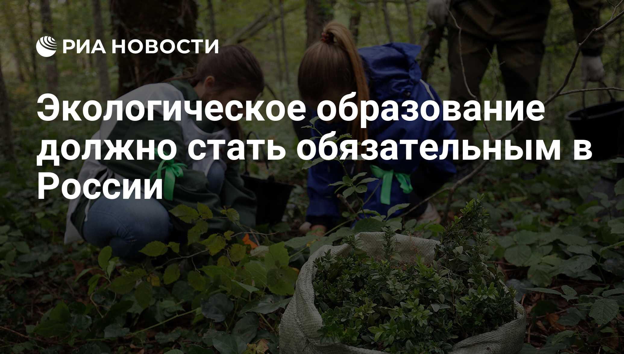 Экологическое образование в россии
