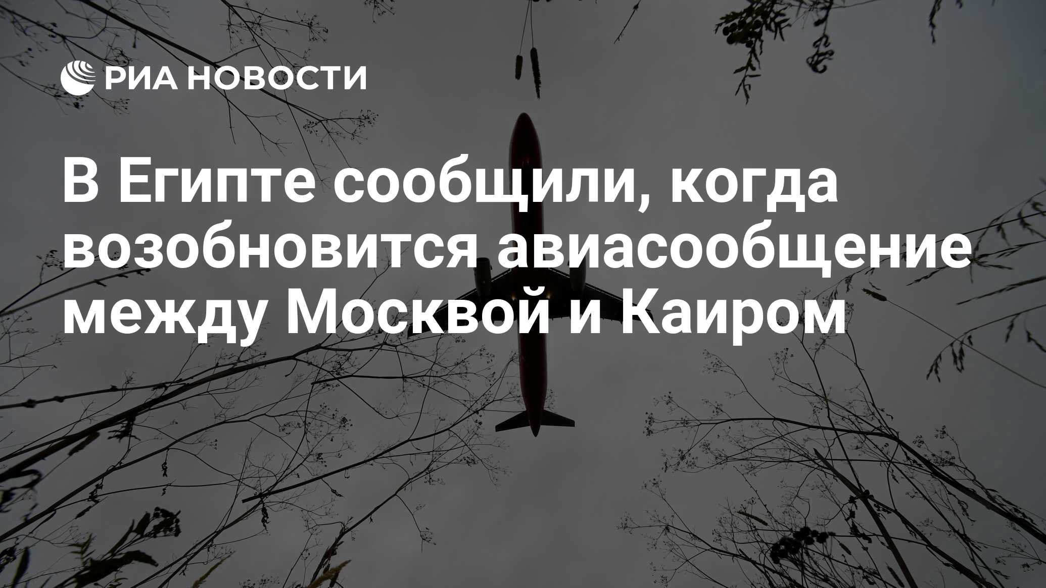 2016 картинка. разрешение энергонадзора. сибирское управление ростехнадзора структура. виды ответственности за нарушение производственной безопасности. пилот сажает самолет мем.