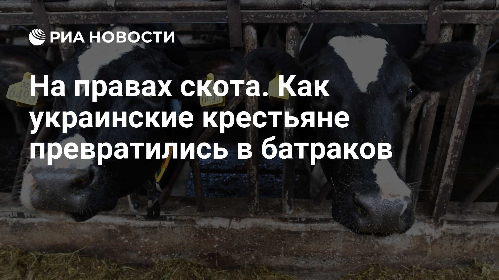 На правах скота. Как украинские крестьяне превратились в батраков - РИА  Новости, 26.05.2021