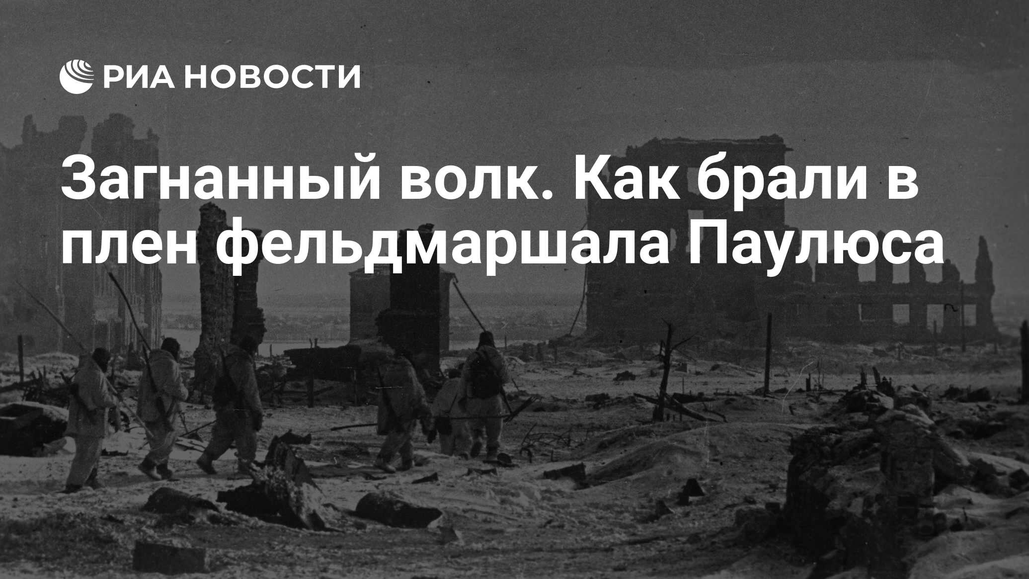 Загнанный волк. Как брали в плен фельдмаршала Паулюса - РИА Новости,  02.02.2018