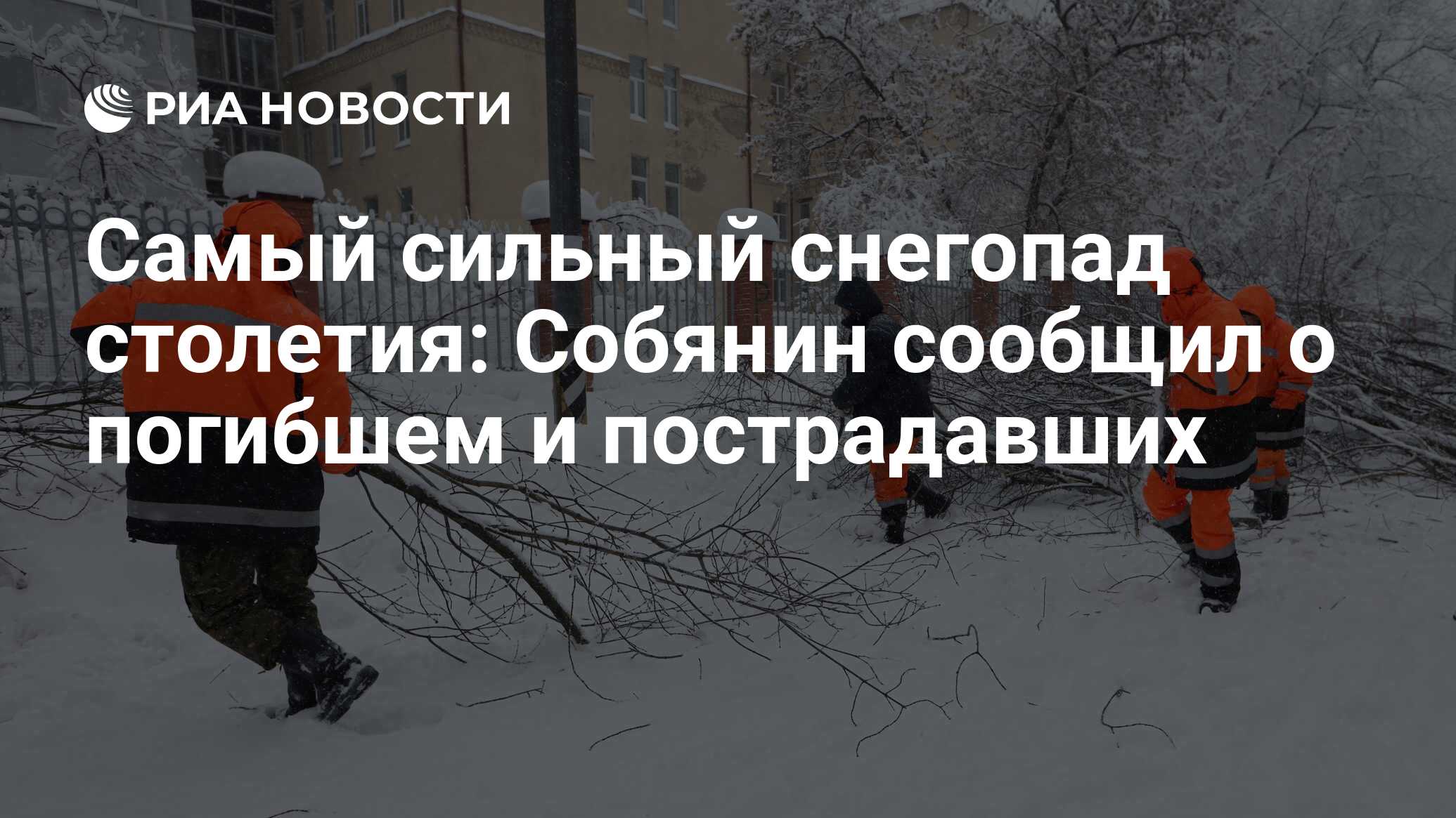 По мере надобности из под дивана выйти вслед за посетителем в следствии сильного снегопада