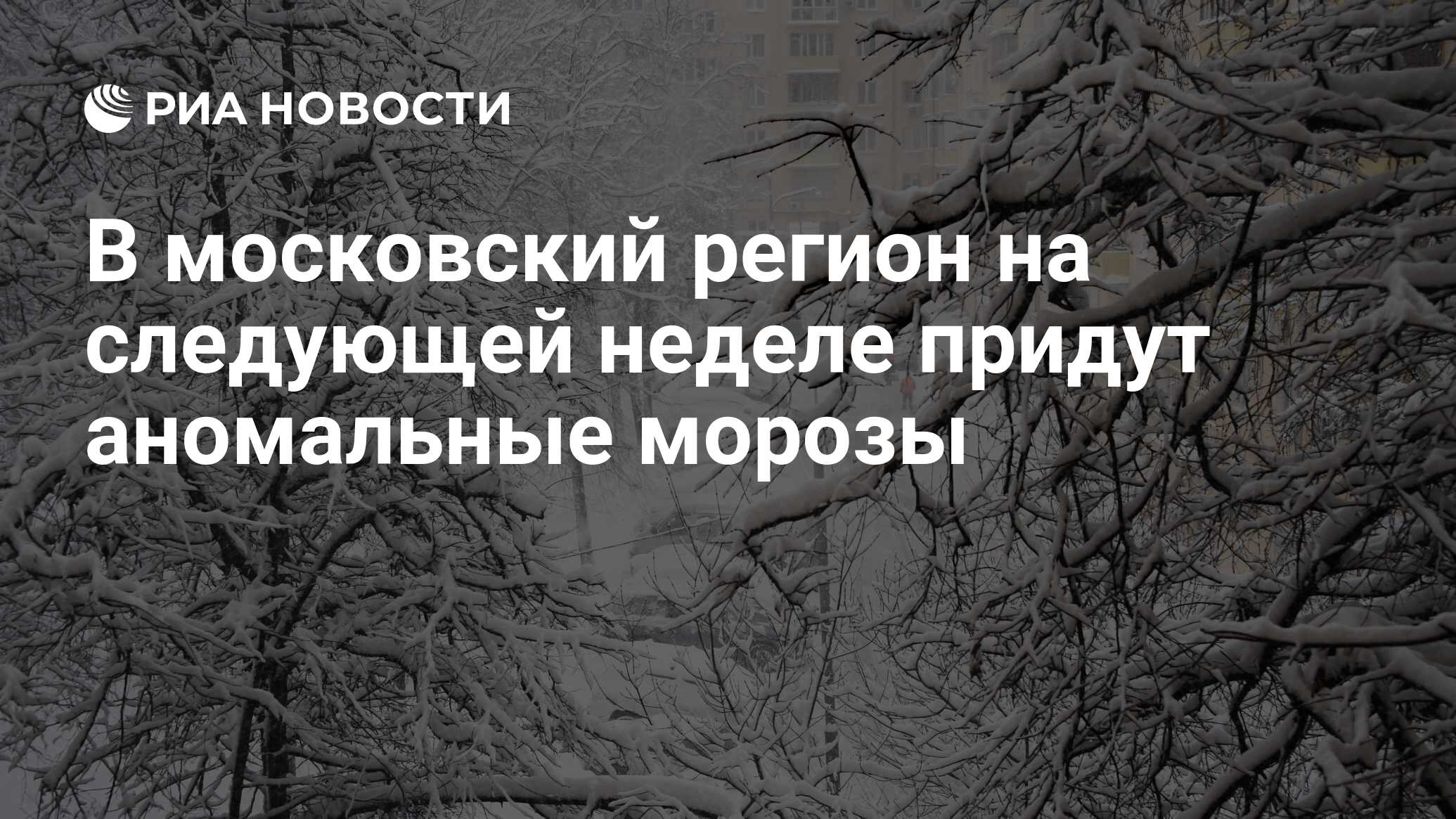 аномально теплая погода в москве продержится до 5 февраля. долгожданное похолодание. морозы в москве. аномальные морозы в москве на следующую неделю. аномальные морозы в москве на следующую неделю.
