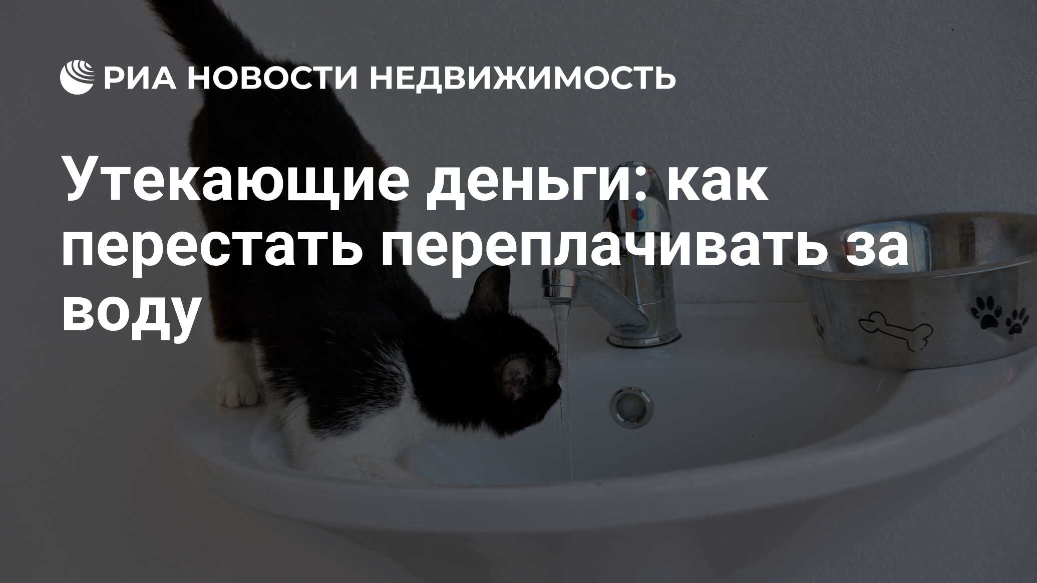 Утекающие деньги: как перестать переплачивать за воду - Недвижимость РИА  Новости, 03.03.2020