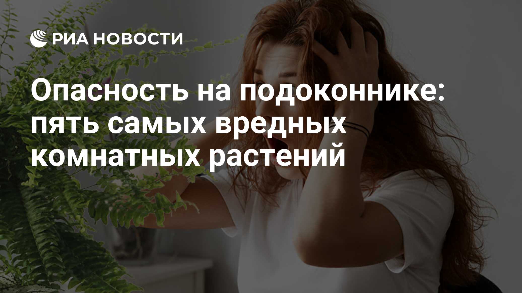 Опасность на подоконнике: пять самых вредных комнатных растений - РИА  Новости, 03.03.2020