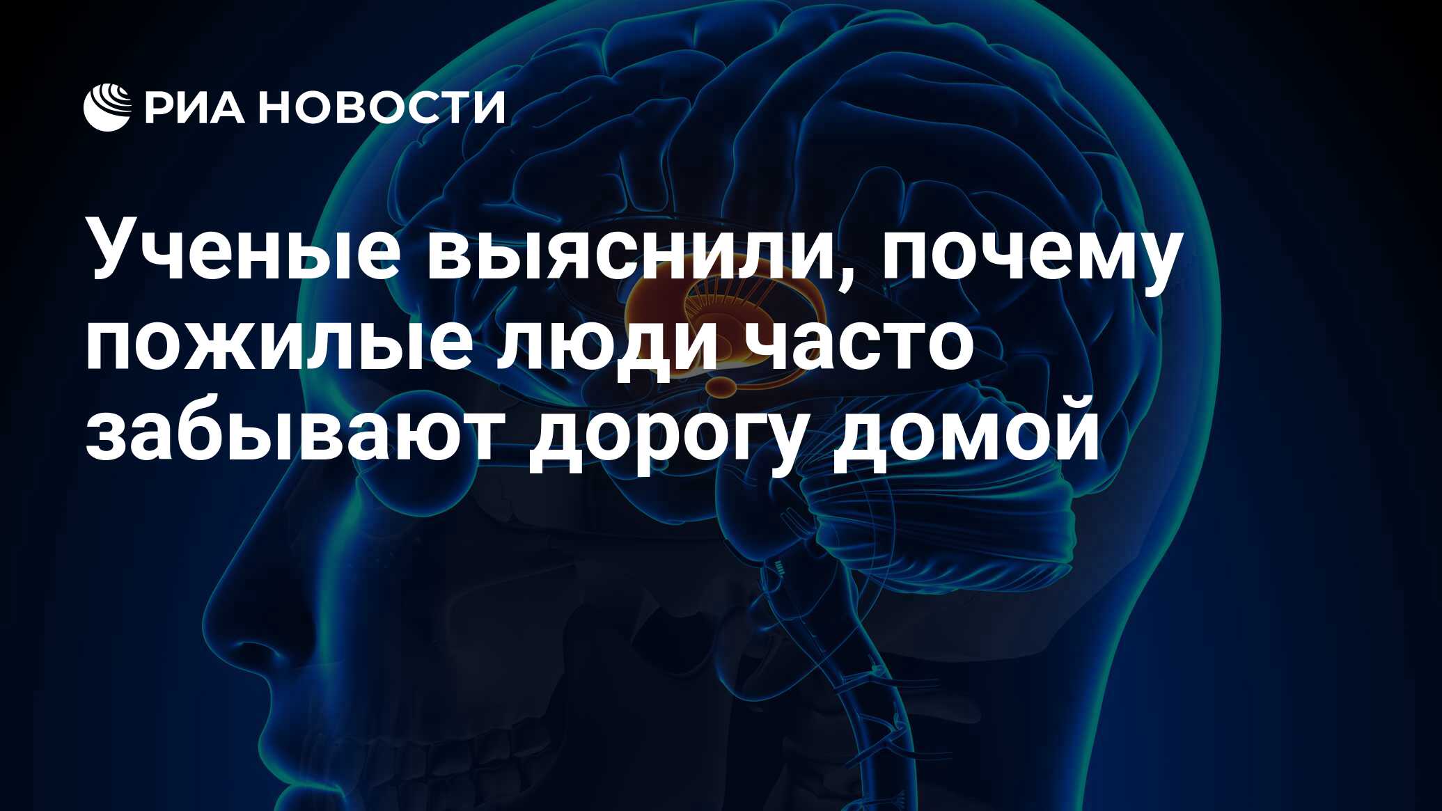 Ученые выяснили, почему пожилые люди часто забывают дорогу домой - РИА  Новости, 16.03.2018