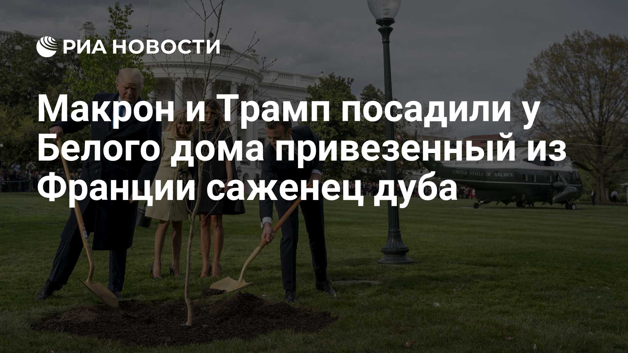 Макрон и Трамп посадили у Белого дома привезенный из Франции саженец дуба -  РИА Новости, 24.04.2018