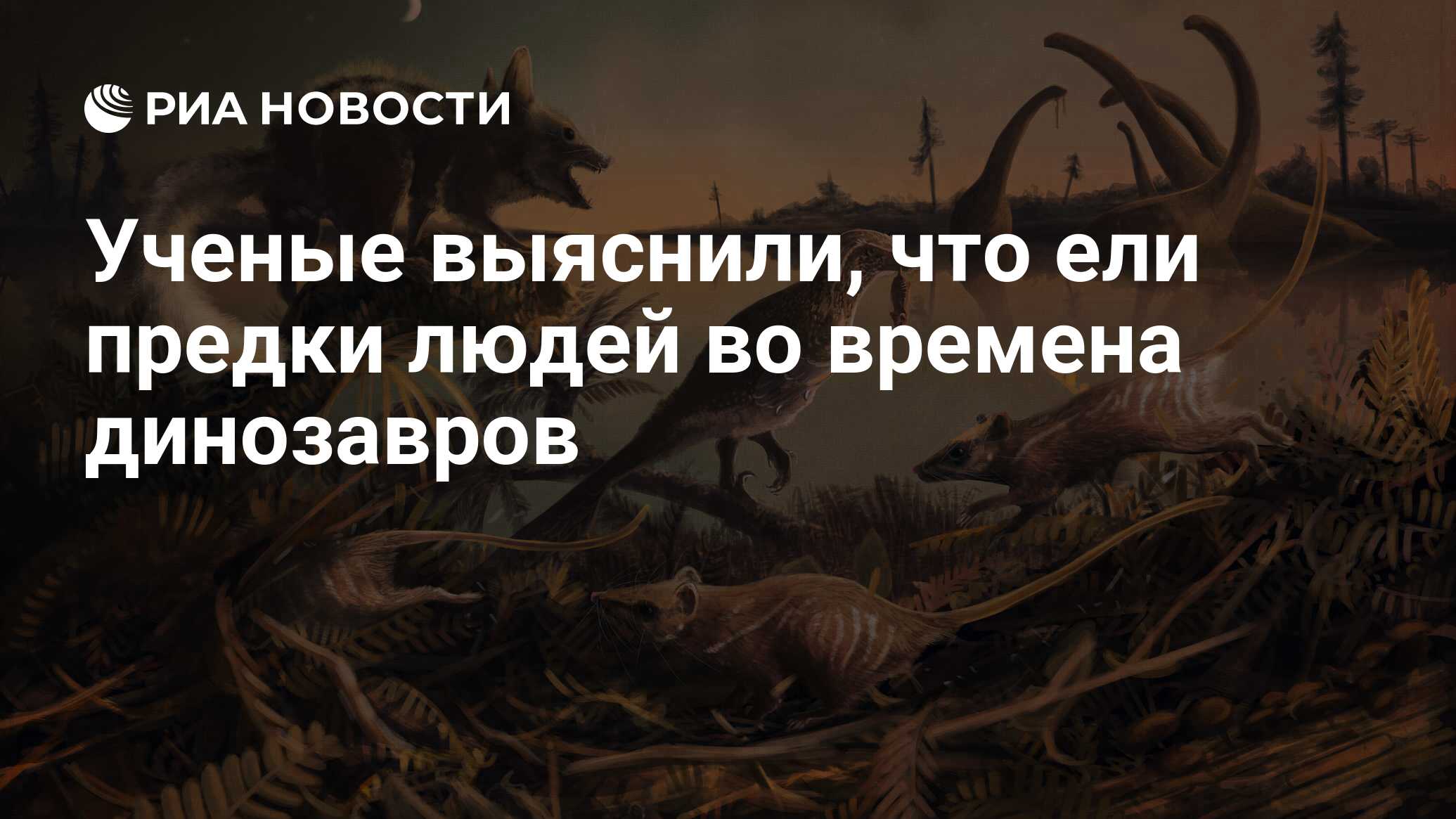 Ученые выяснили, что ели предки людей во времена динозавров - РИА Новости,  17.05.2018