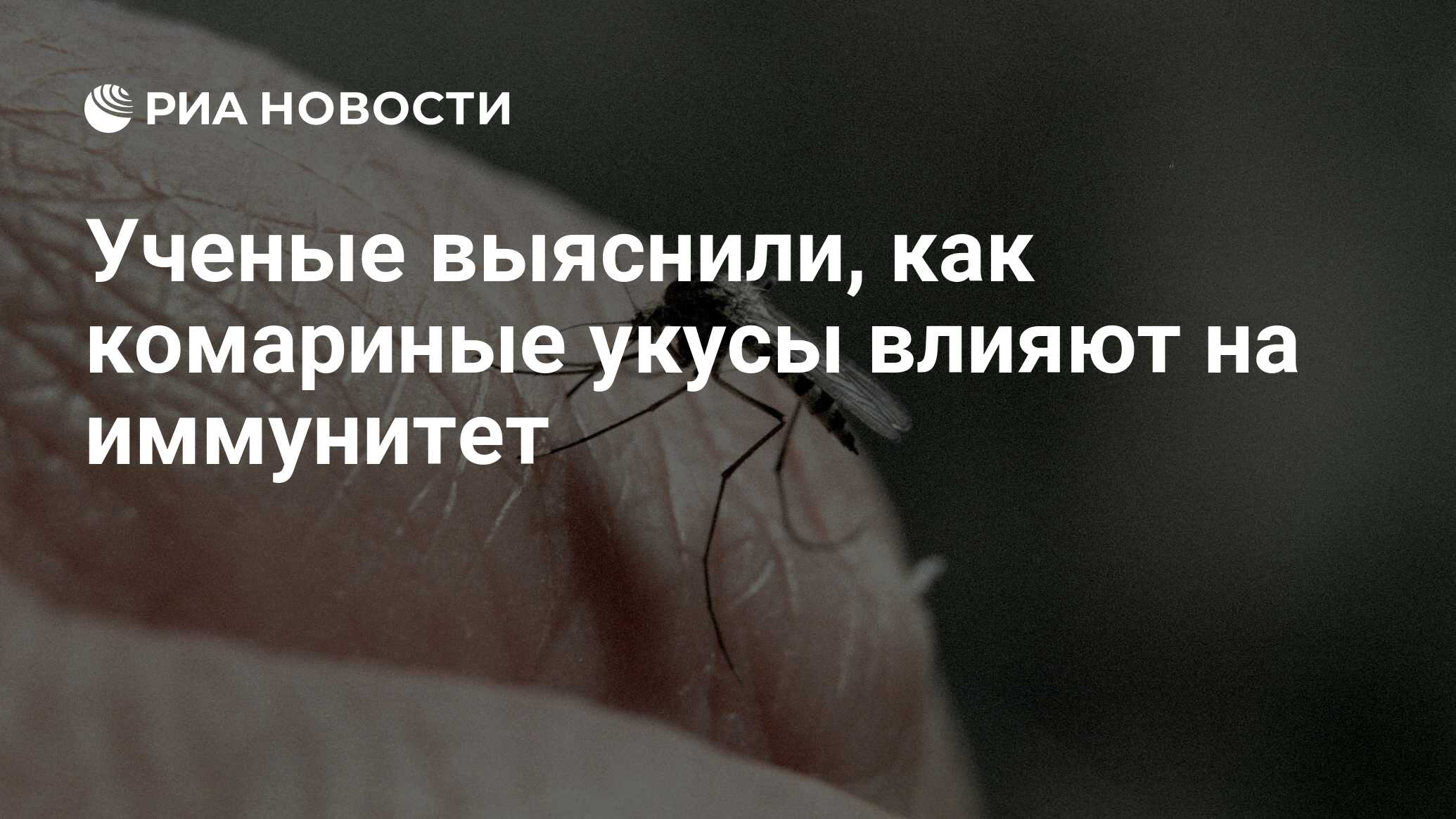 Ученые выяснили, как комариные укусы влияют на иммунитет - РИА Новости,  20.05.2018