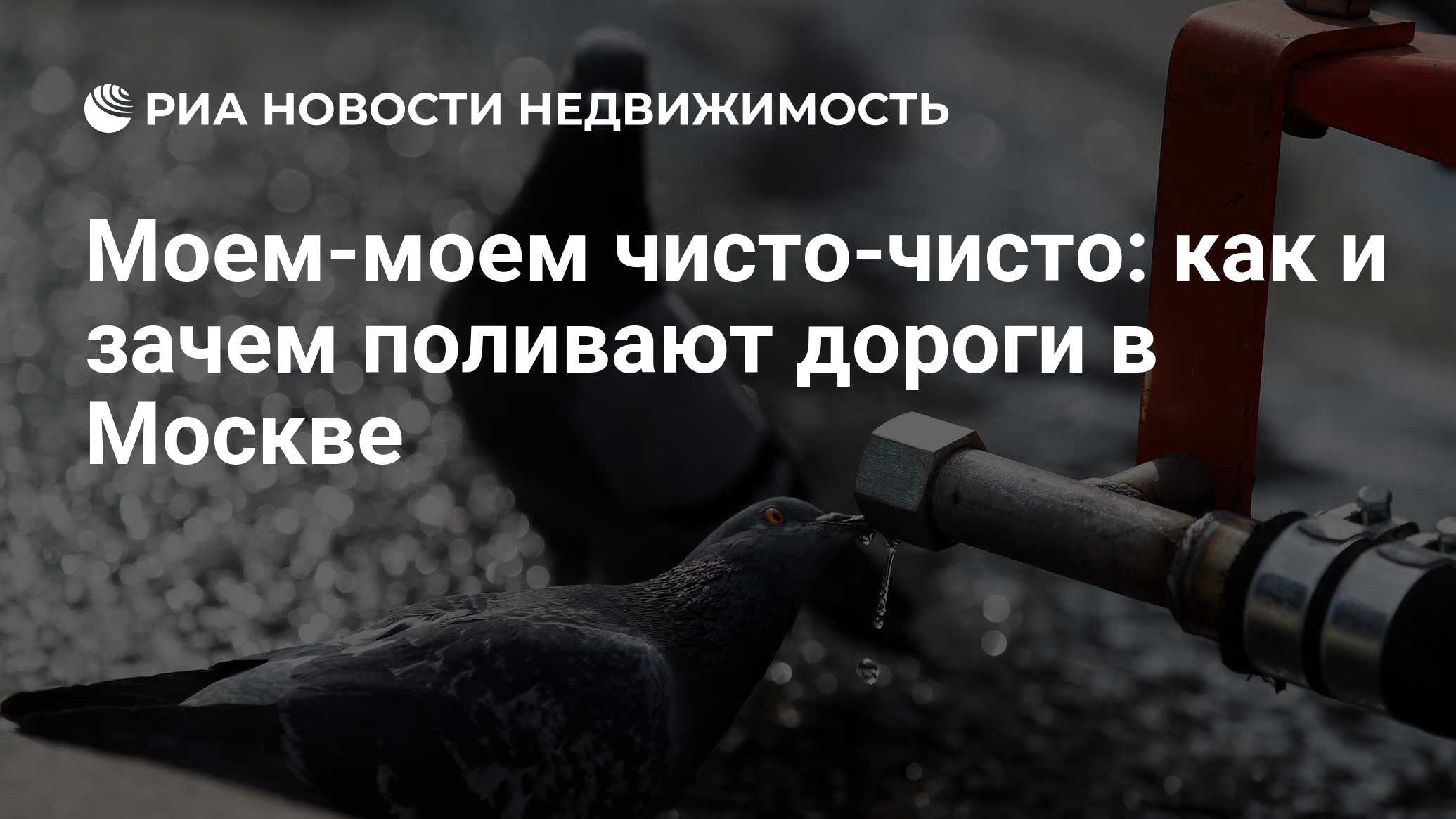 Моем-моем чисто-чисто: как и зачем поливают дороги в Москве - Недвижимость  РИА Новости, 03.03.2020