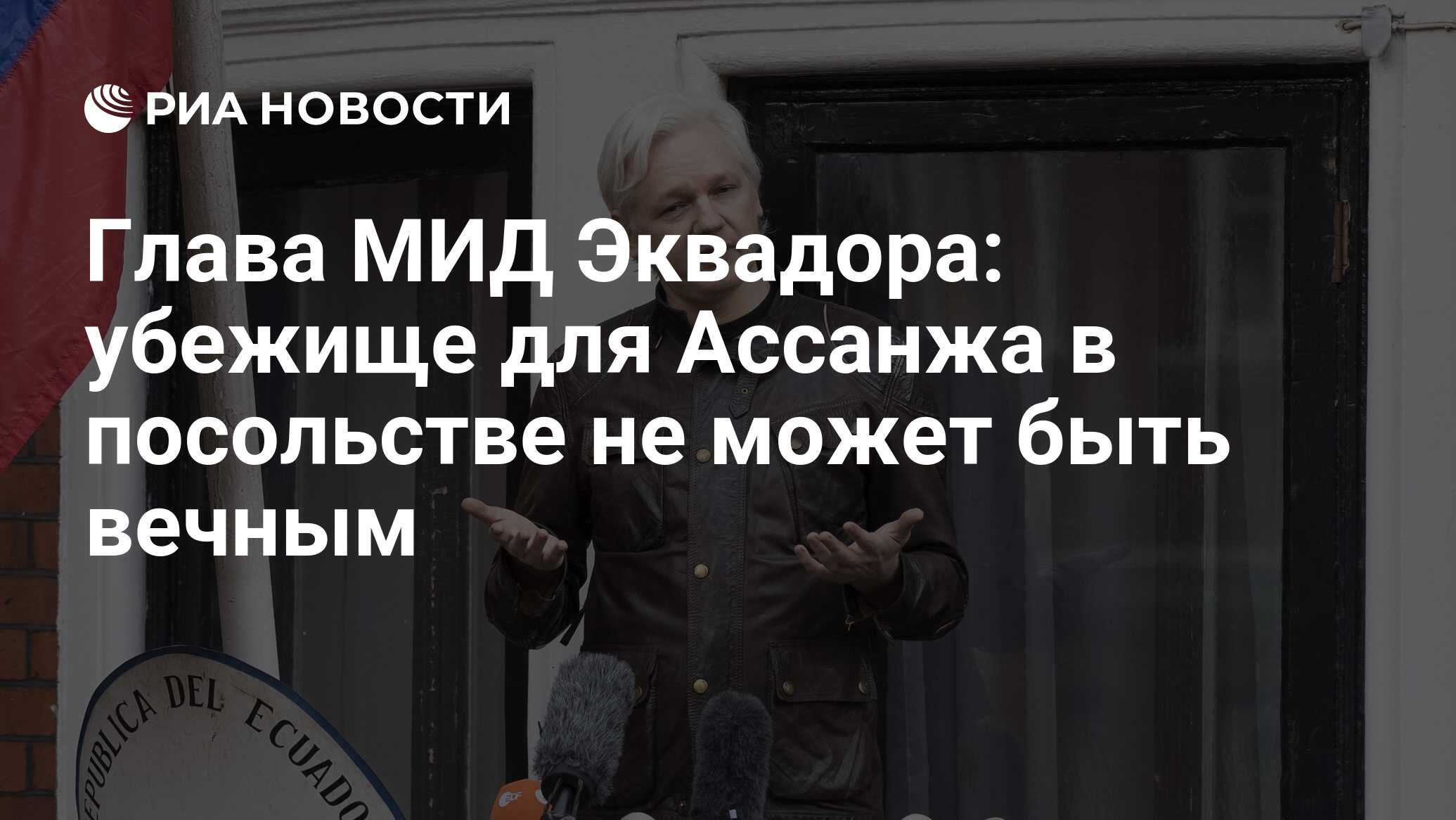 Разоблачили журналистов. Ассанж перед заключением. Суд в Эквадоре. Ассанж за что преследуется. Кот Ассанжа где сейчас.