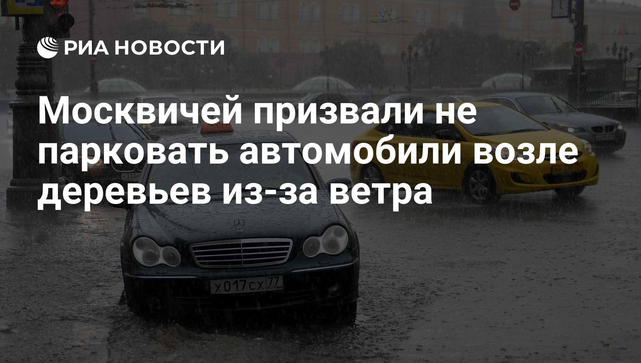 Москвичей призвали не парковать автомобили возле деревьев из-за ветра - РИА  Новости, 16.07.2018