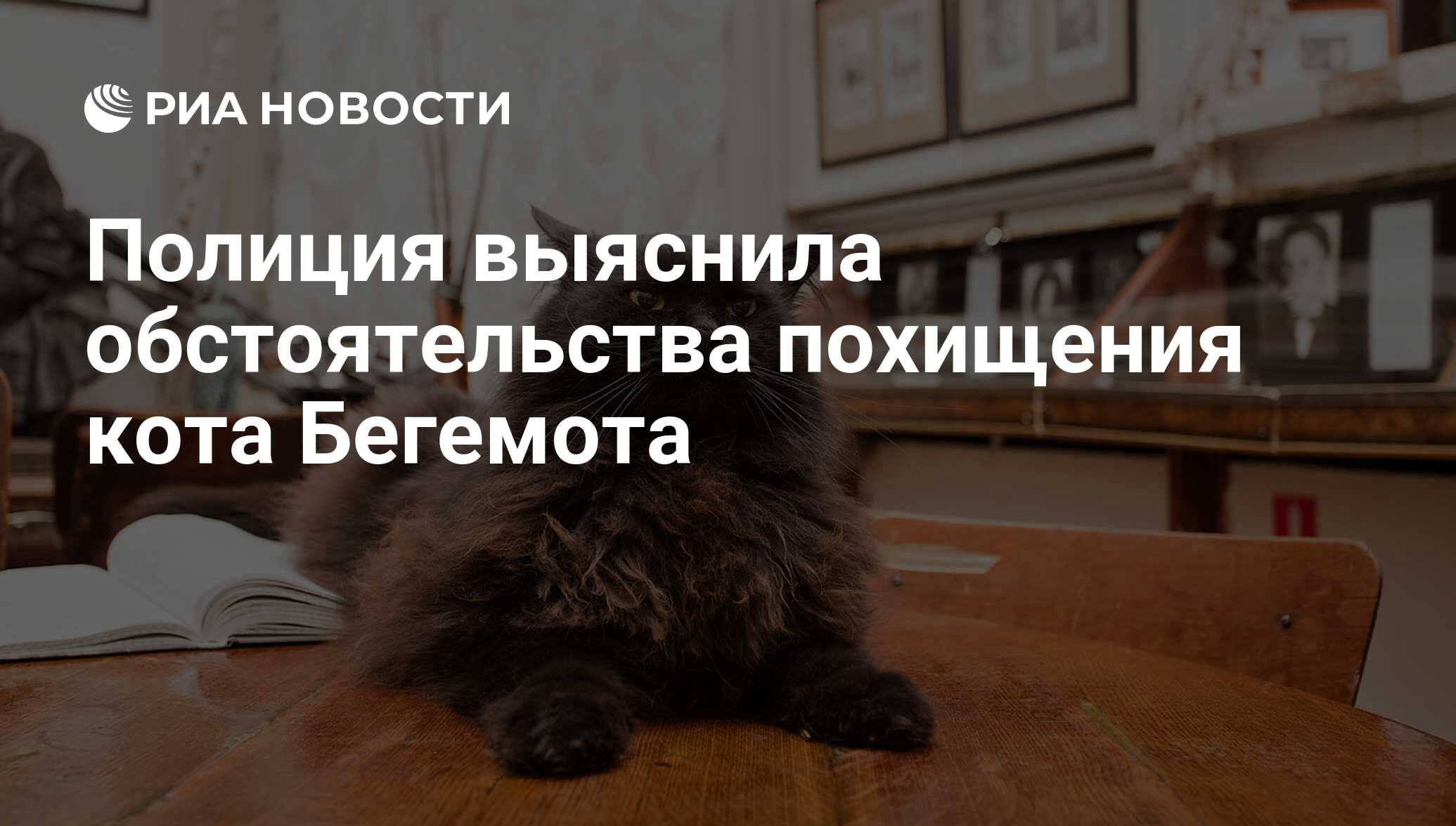 кот бегемот из музея булгакова