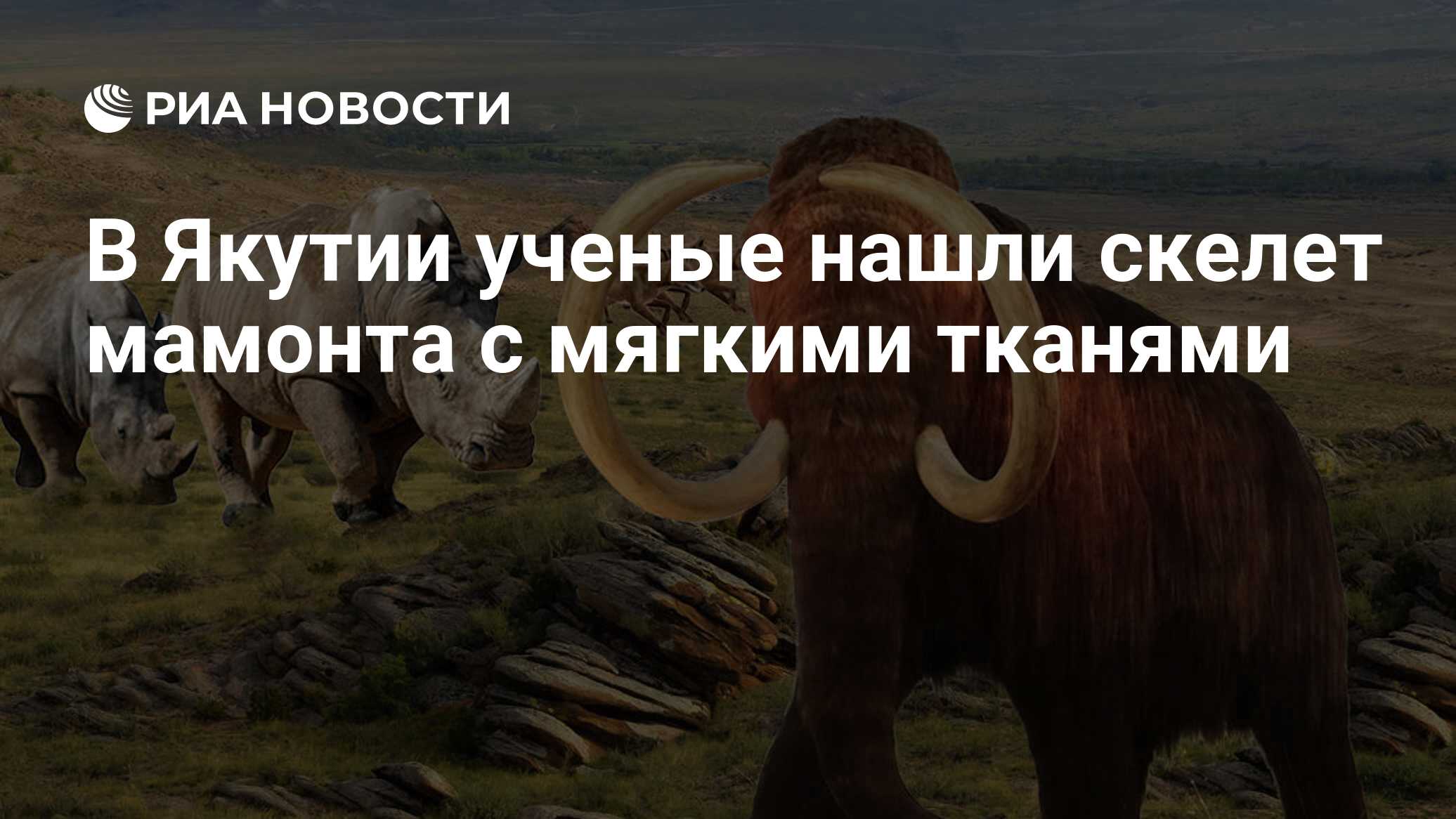 В Якутии ученые нашли скелет мамонта с мягкими тканями - РИА Новости ...