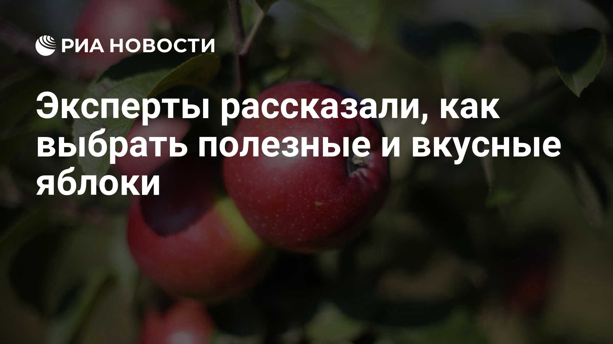 Эксперты рассказали, как выбрать полезные и вкусные яблоки - РИА Новости,  03.03.2020