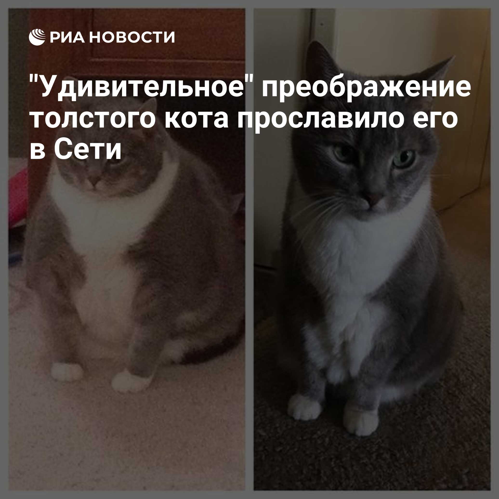 Удивительное