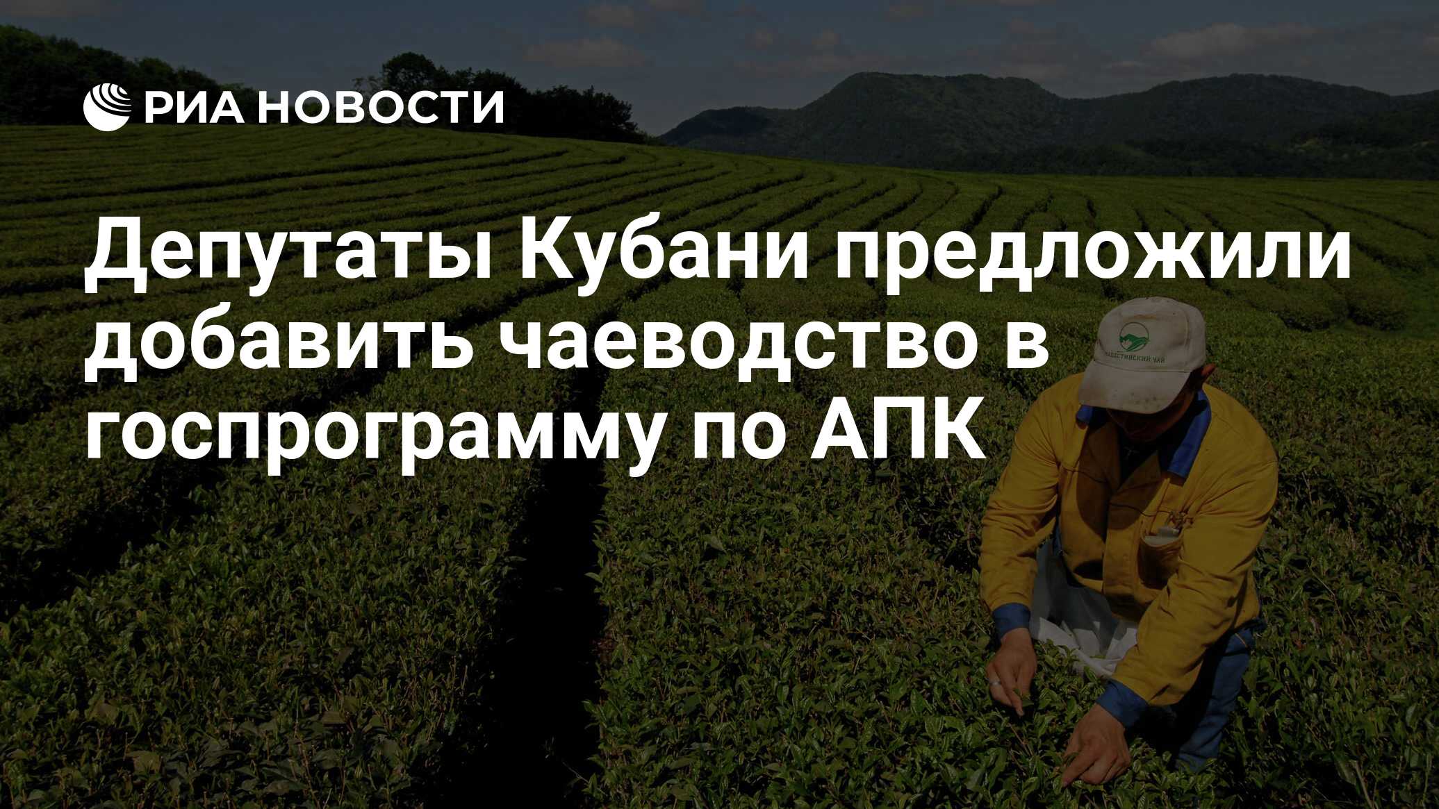 Дайте характеристику отрасли чаеводство по плану