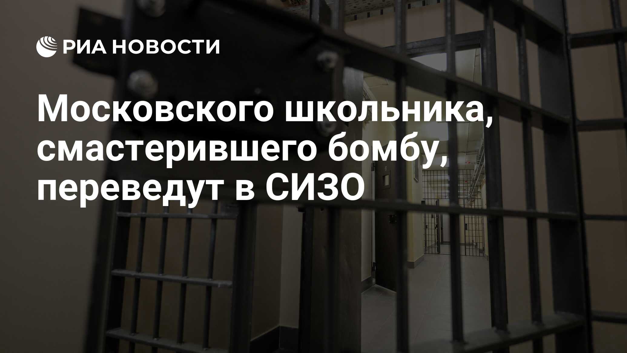 Московского школьника, смастерившего бомбу, переведут в СИЗО - РИА Новости,  06.11.2018