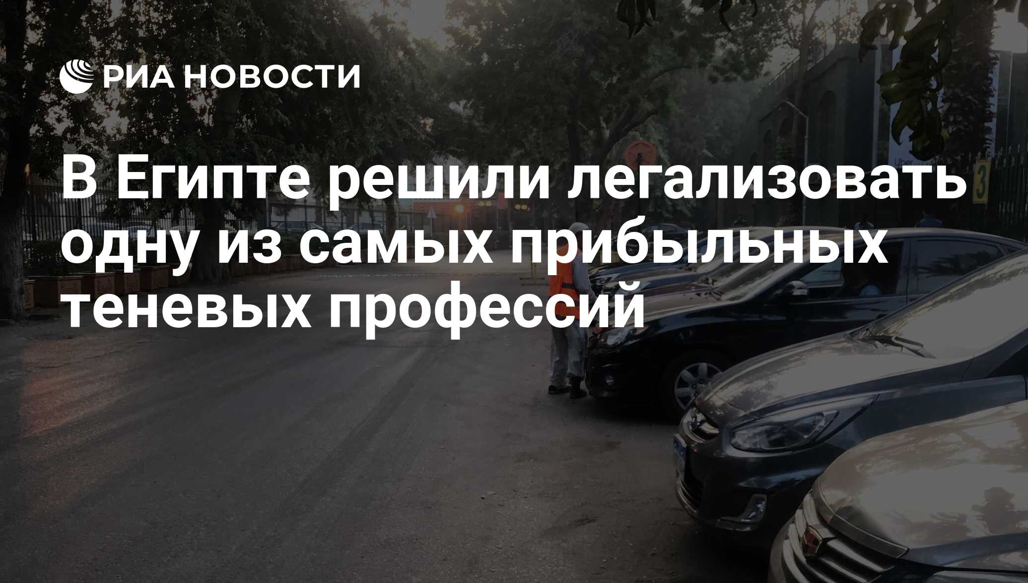 В Египте решили легализовать одну из самых прибыльных теневых профессий -  РИА Новости, 10.11.2018