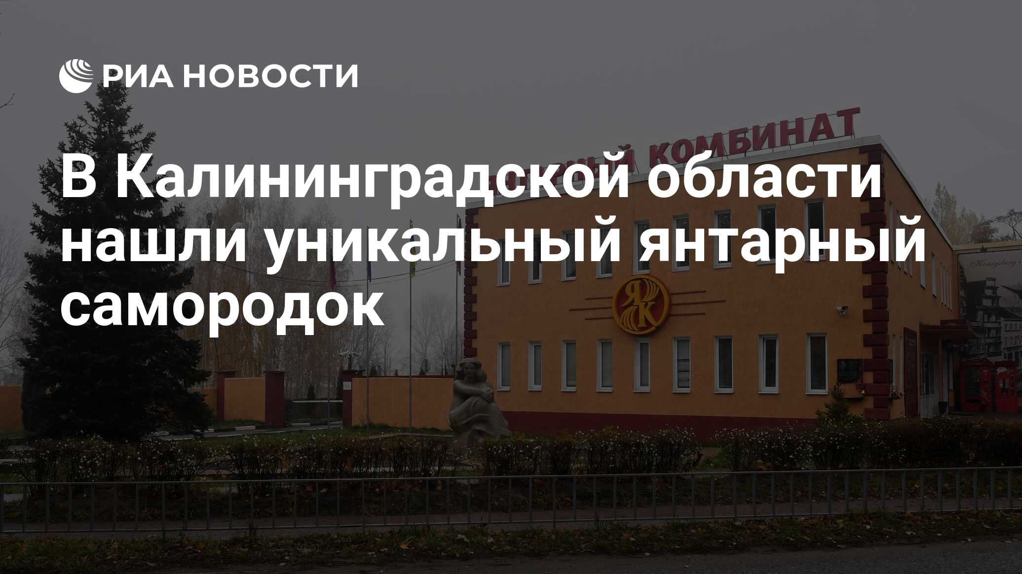 В Калининградской области нашли уникальный янтарный самородок - РИА  Новости, 19.11.2018