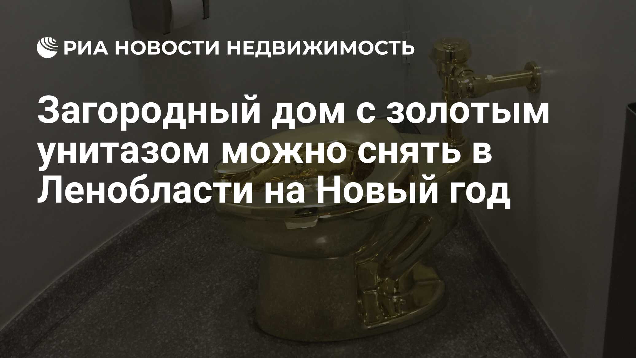 Загородный дом с золотым унитазом можно снять в Ленобласти на Новый год -  Недвижимость РИА Новости, 03.03.2020