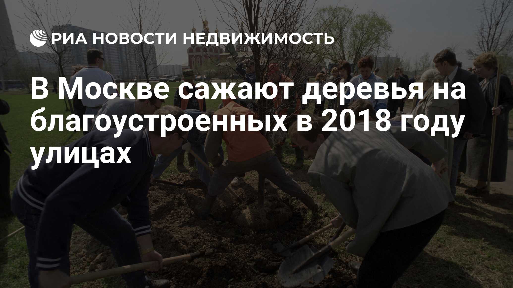 В Москве сажают деревья на благоустроенных в 2018 году улицах -  Недвижимость РИА Новости, 11.12.2018