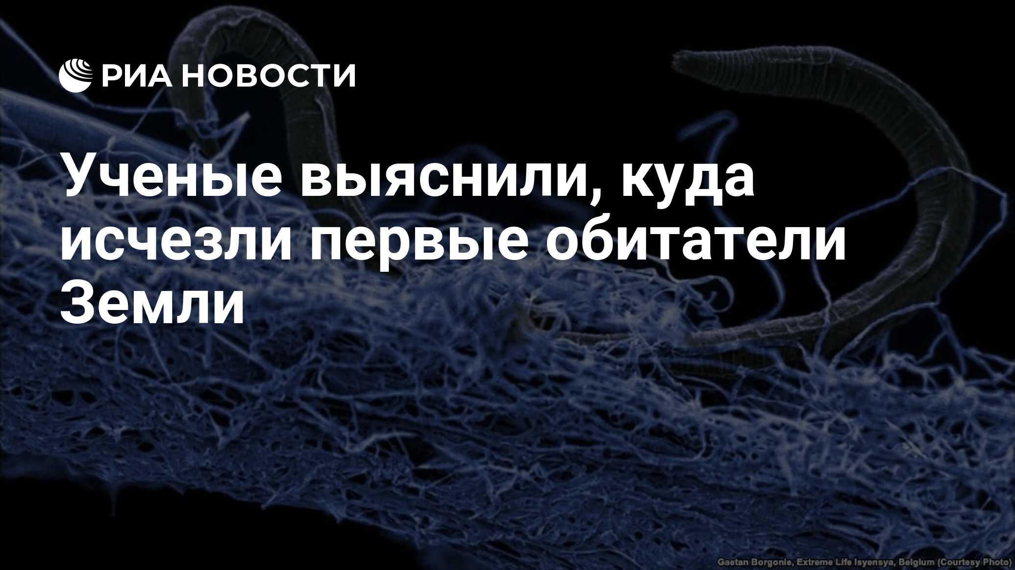 Ученые выяснили, куда исчезли первые обитатели Земли - РИА Новости,  12.12.2018