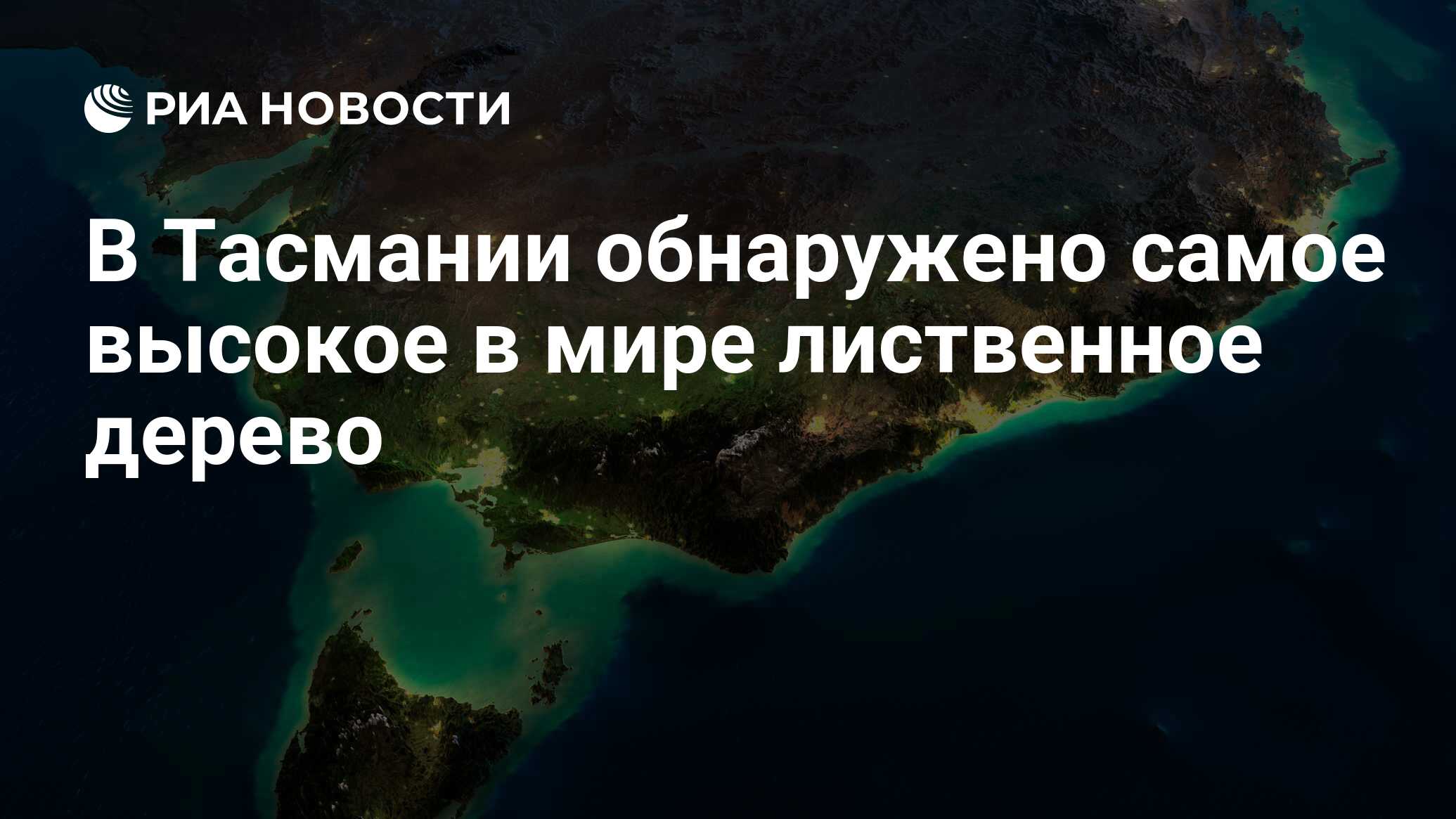 В Тасмании обнаружено самое высокое в мире лиственное дерево - РИА Новости,  13.12.2018