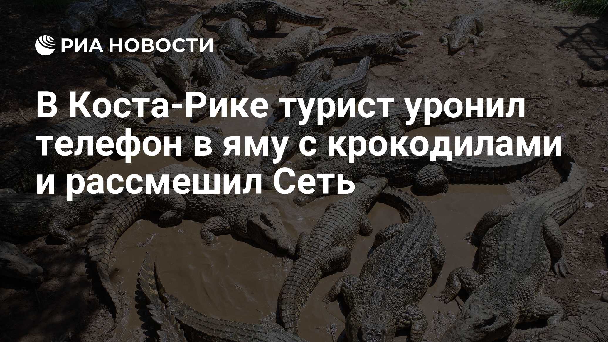 В Коста-Рике турист уронил телефон в яму с крокодилами и рассмешил Сеть -  РИА Новости, 17.12.2018