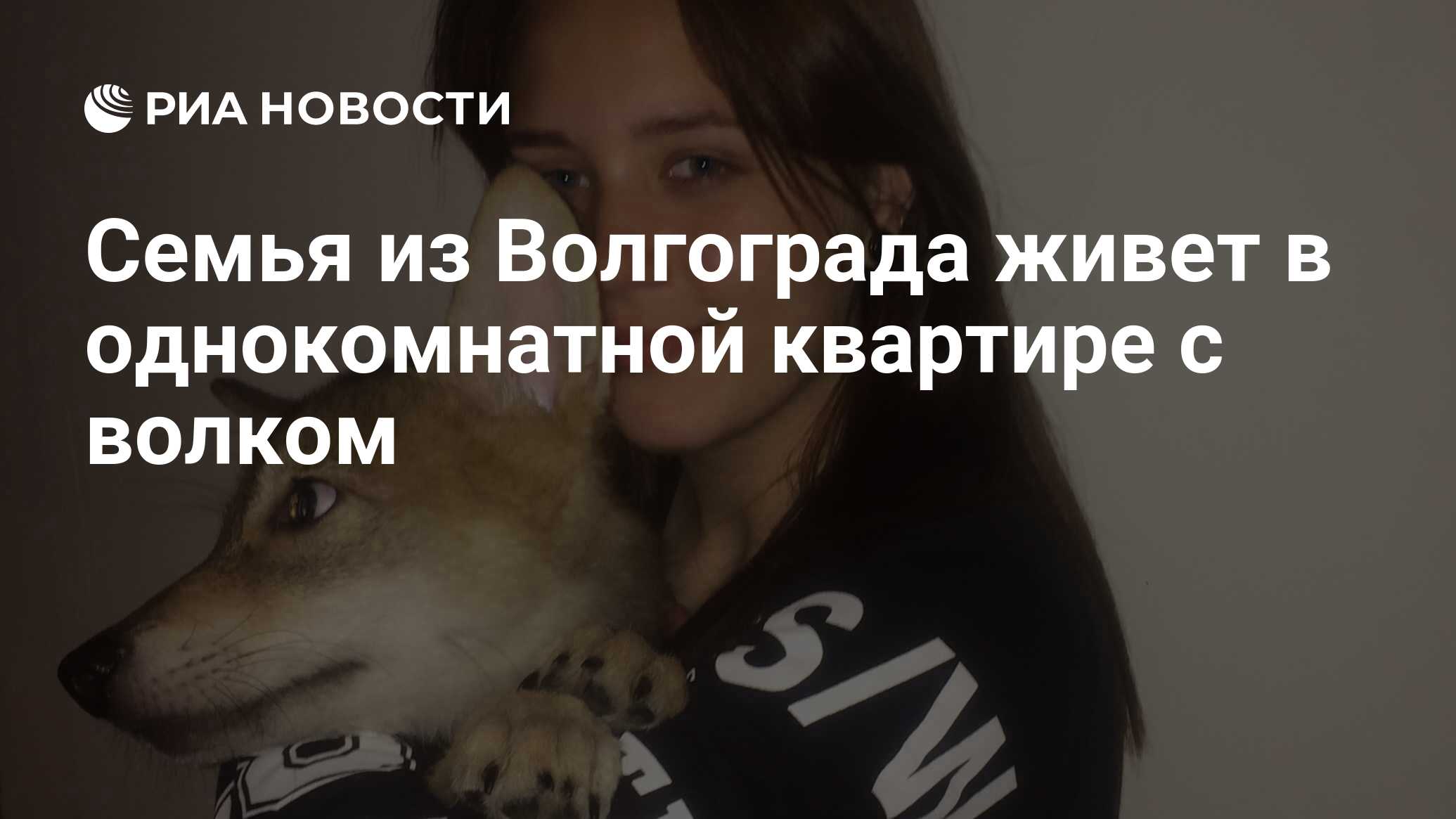 Семья из Волгограда живет в однокомнатной квартире с волком - РИА Новости,  06.01.2019