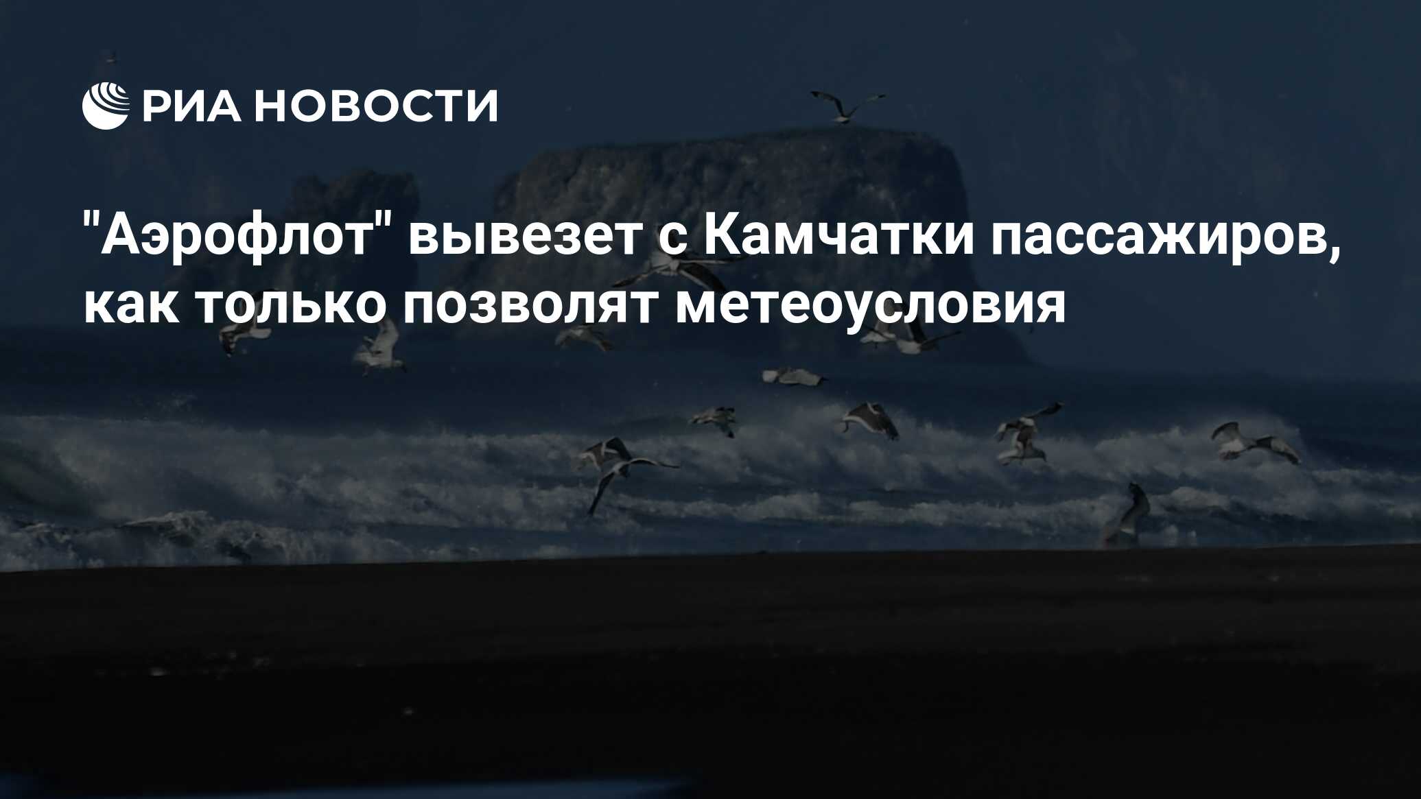 Шереметьево петропавловск камчатский расписание. Аэропорт петропавловск-камчатский (елизово) проект. Камчатка петропавловск-камчатский аэропорт. Шереметьево петропавловск камчатский расписание. Шереметьево петропавловск камчатский расписание.