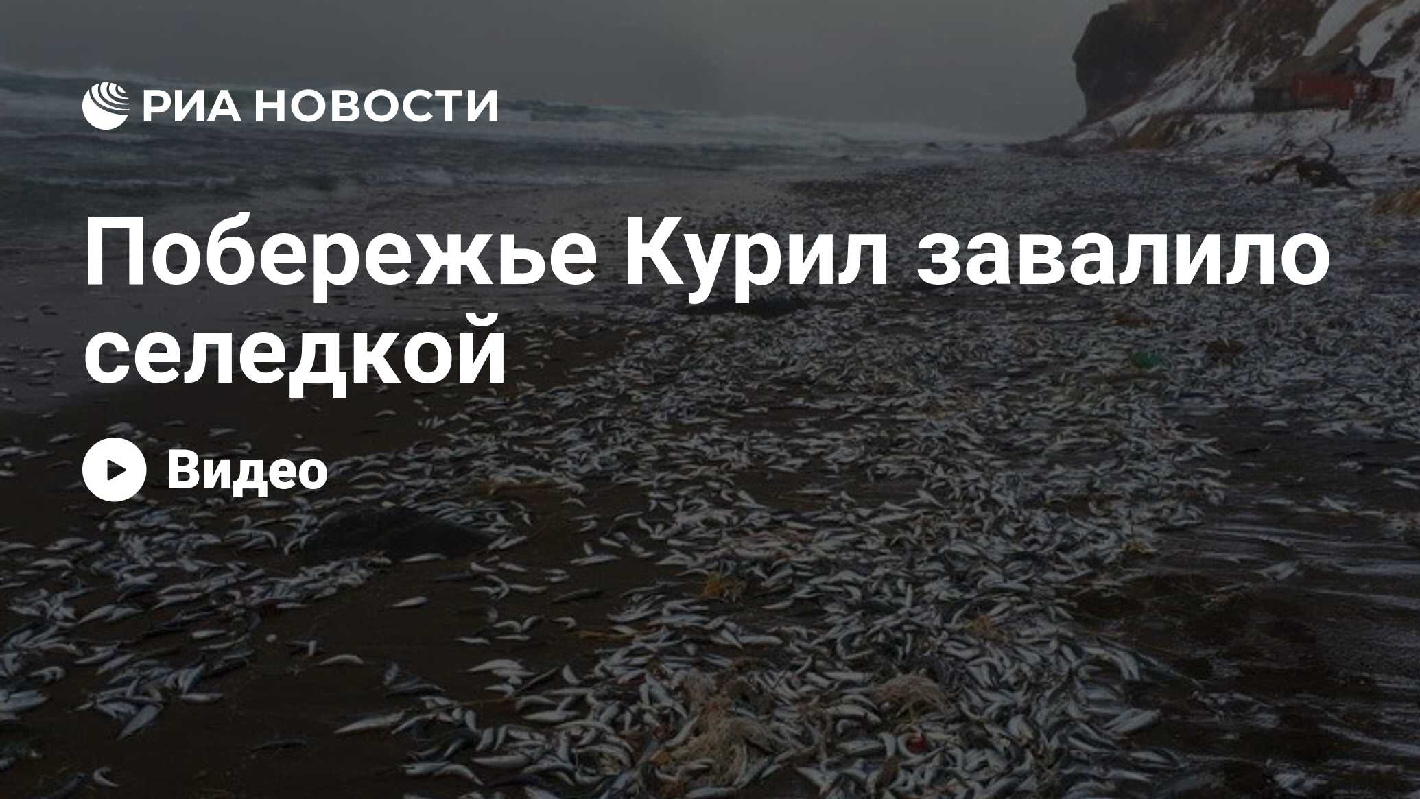 что выбрасывает море после шторма