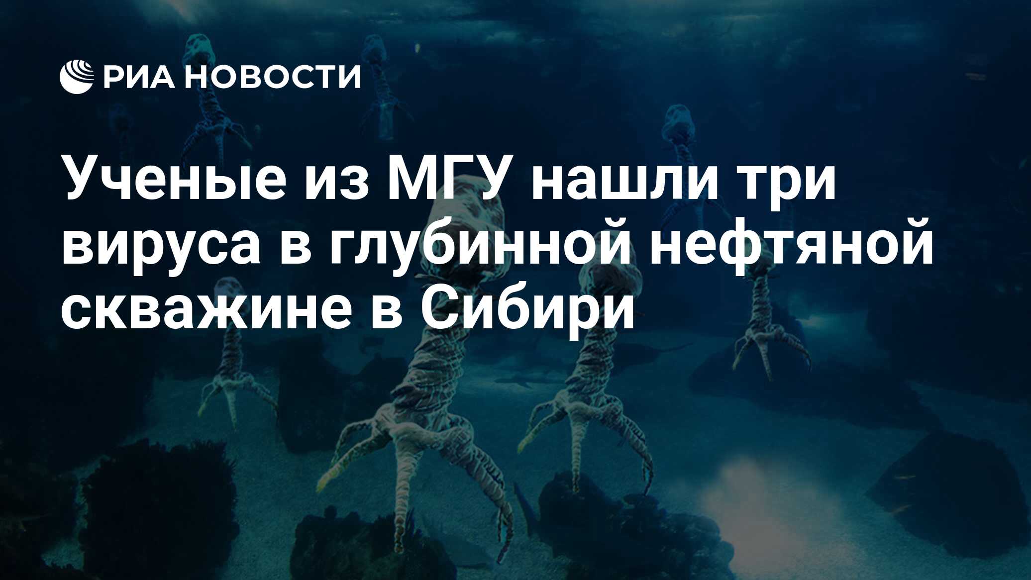 Как Спасти Зота В Глубинном Гнезде