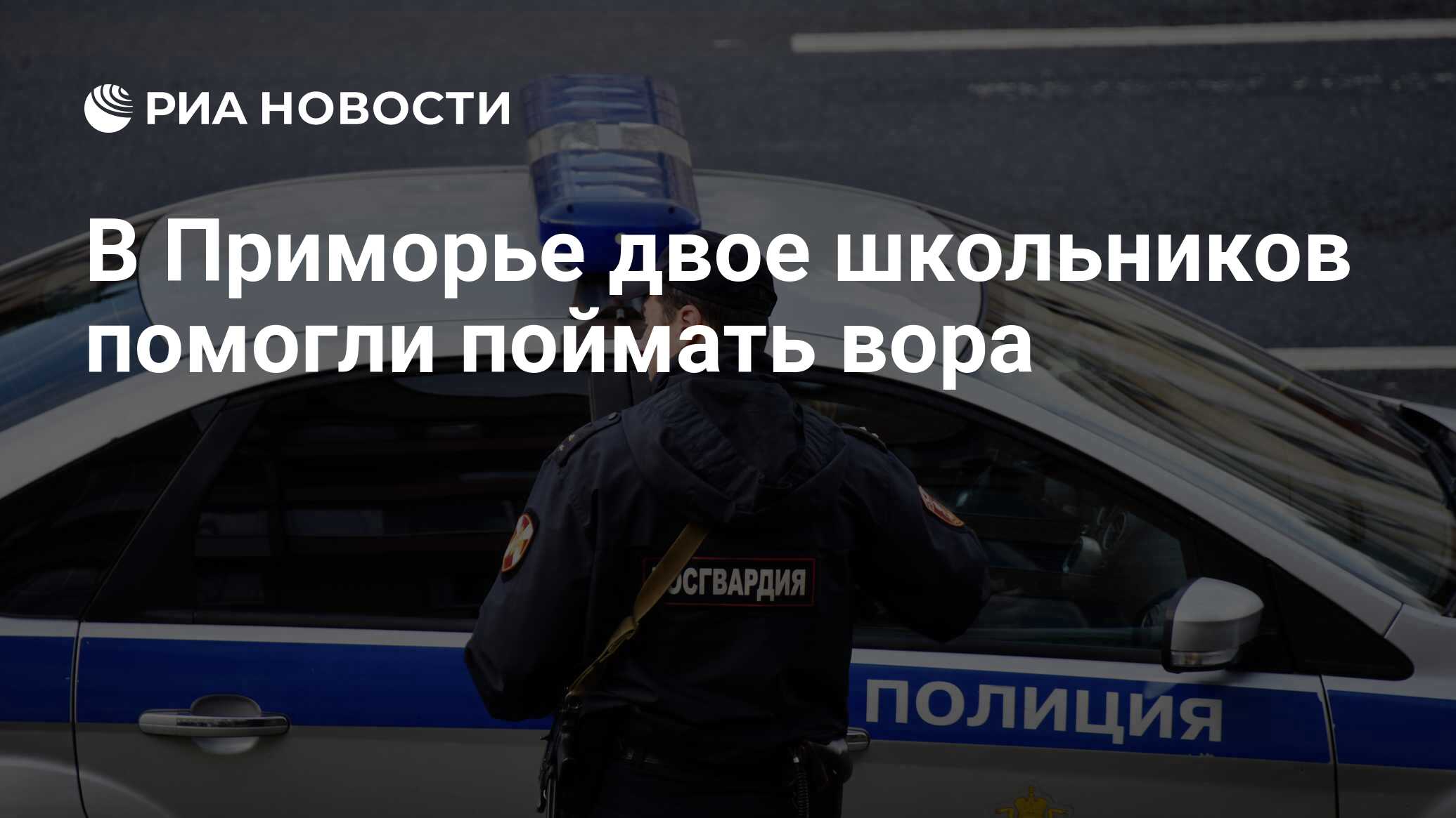 В Приморье двое школьников помогли поймать вора - РИА Новости, 16.11.2019