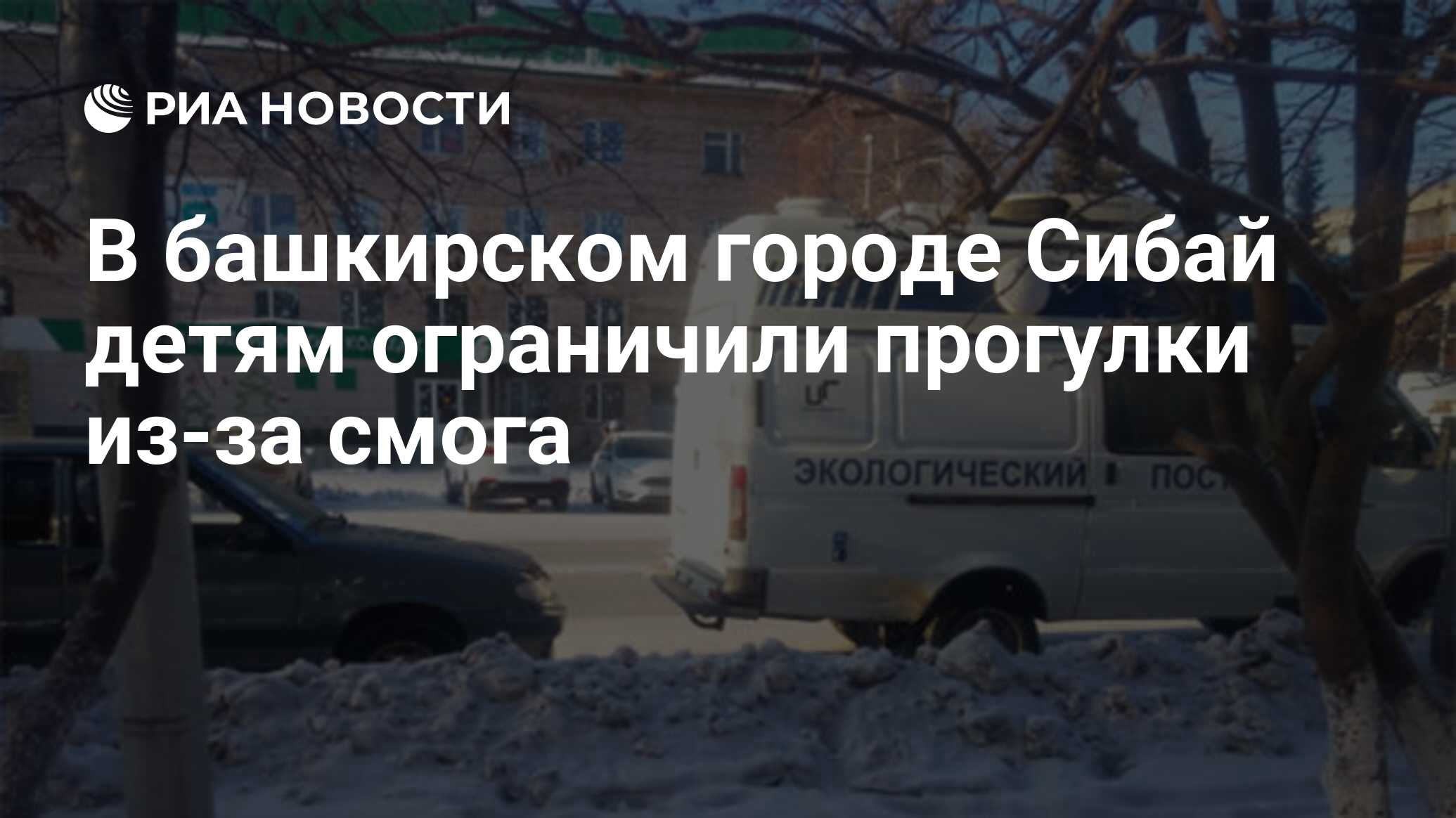 В башкирском городе Сибай детям ограничили прогулки из-за смога - РИА  Новости, 17.01.2019