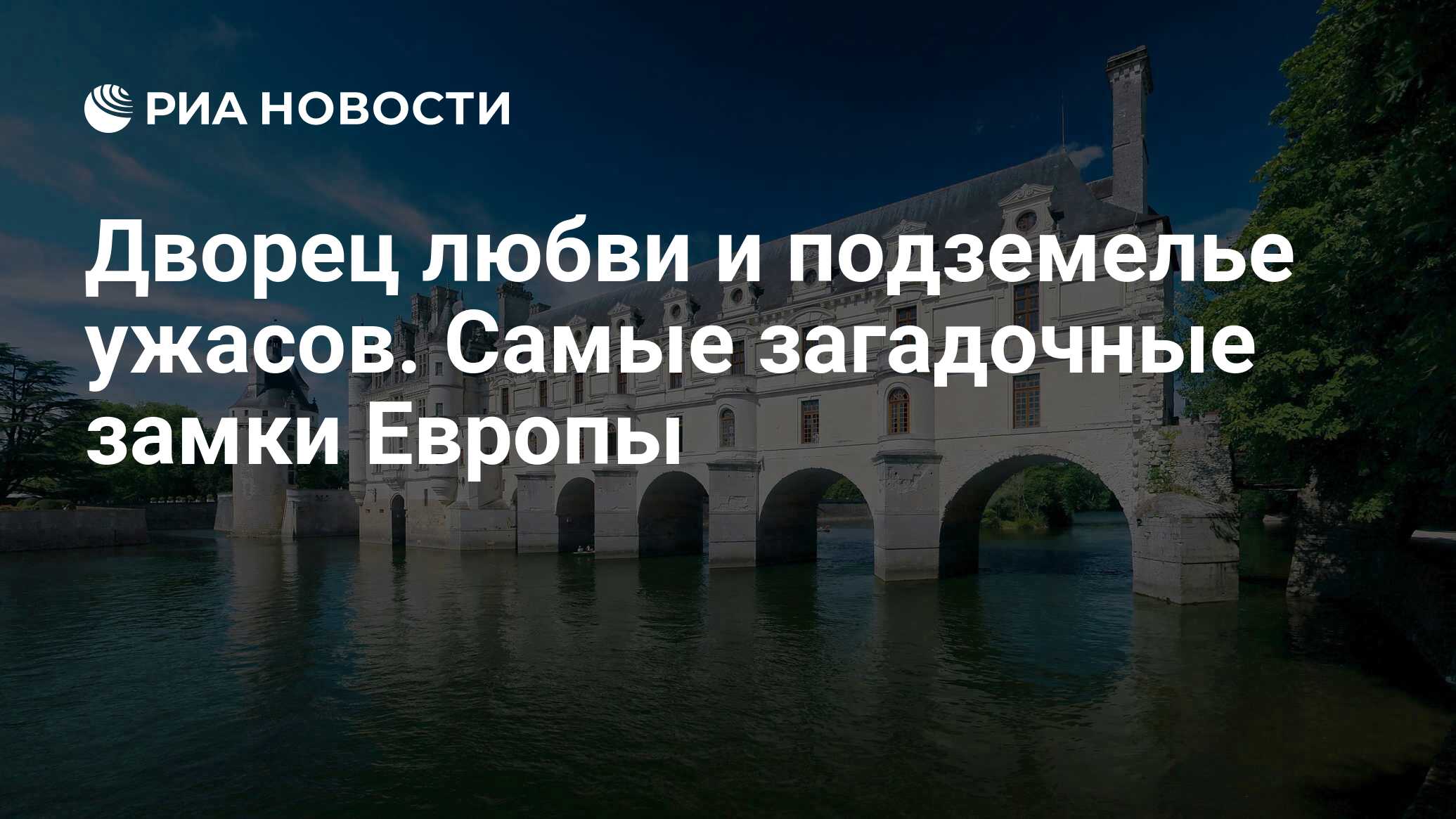 Замок при спаривании у собак: почему питомцы слипаются