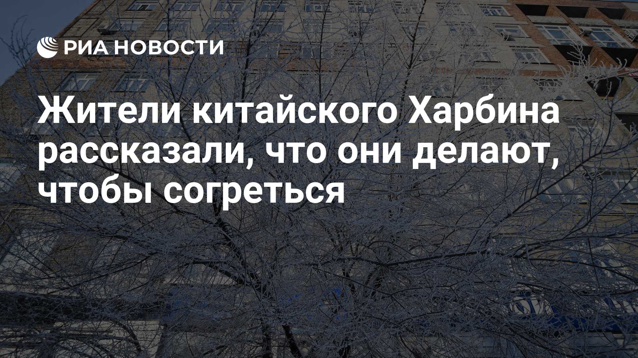 Жители китайского Харбина рассказали, что они делают, чтобы согреться - РИА  Новости, 03.03.2020