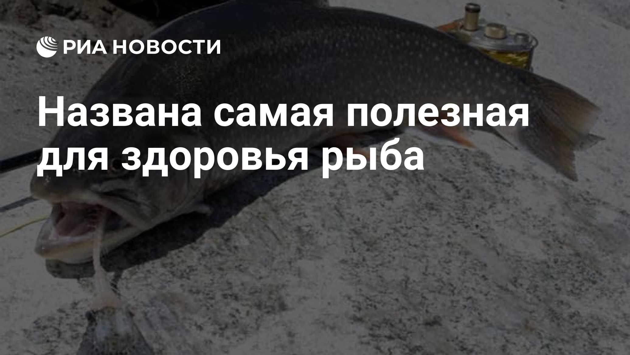 Охрана здоровья рыб. Рыба здоровье на неделю. Ртуть в рыбе и морепродуктах таблица. Рыба здоровье на неделю. Рыба здоровье на неделю.