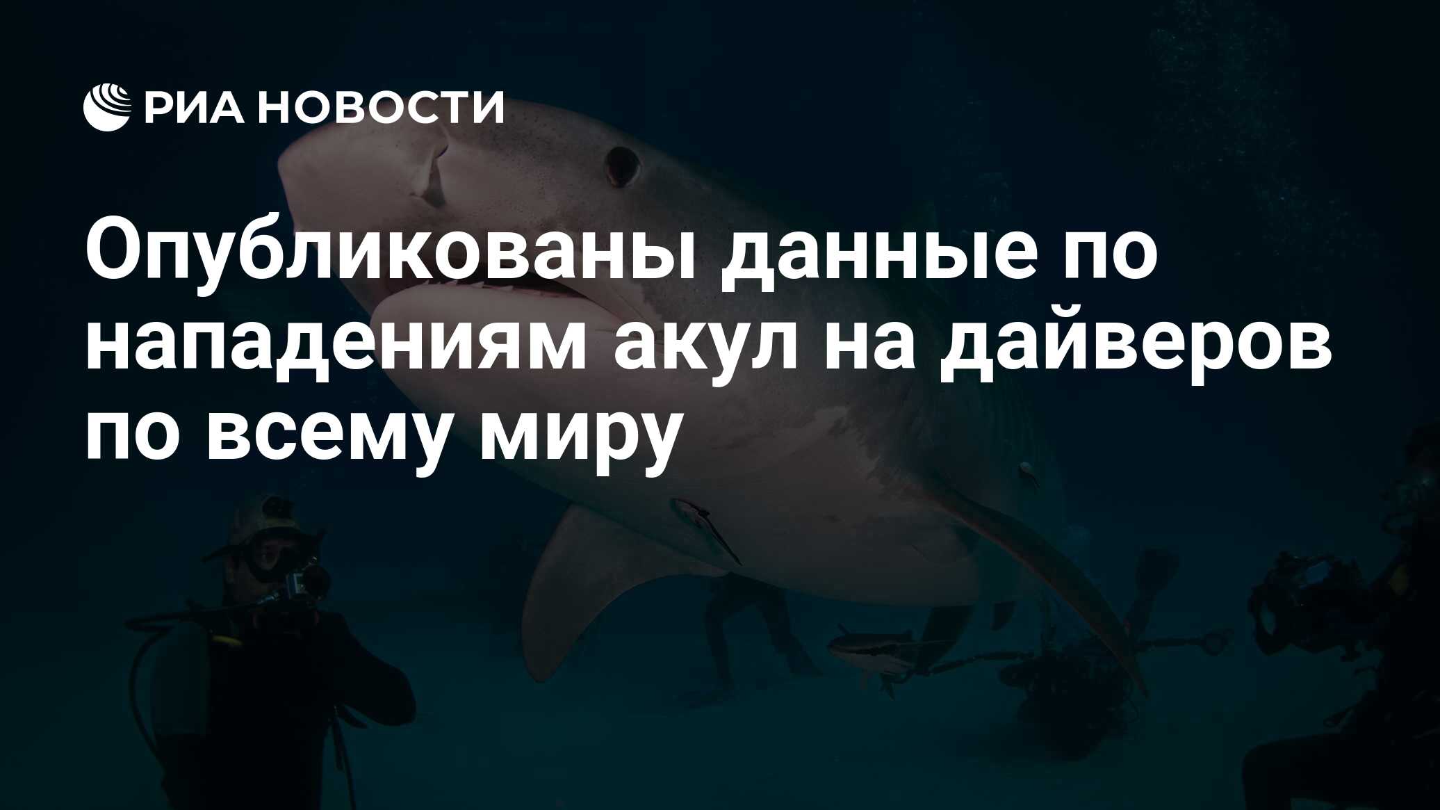 Опубликованы данные по нападениям акул на дайверов по всему миру - РИА  Новости, 05.02.2019