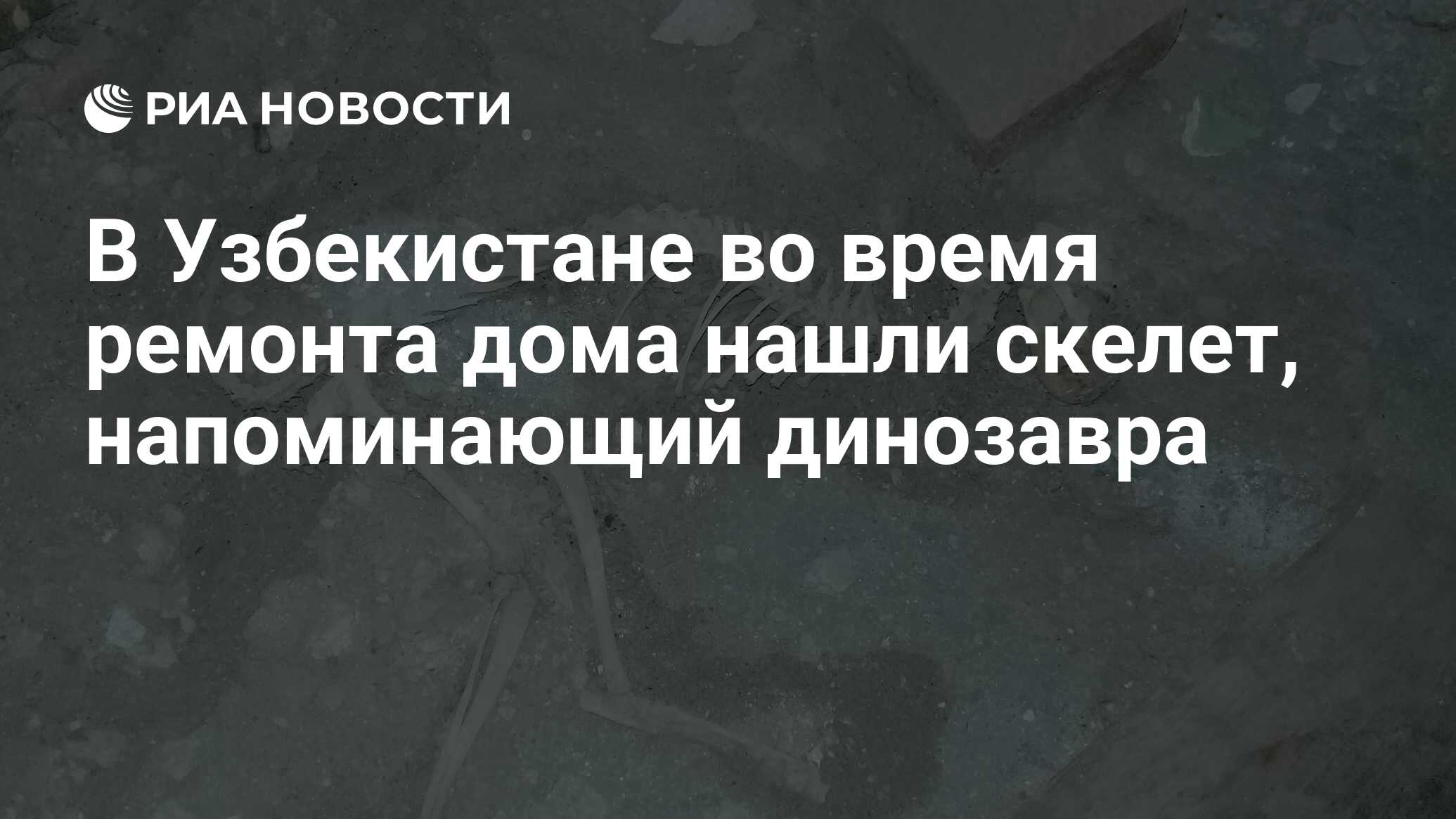 В Узбекистане во время ремонта дома нашли скелет, напоминающий динозавра -  РИА Новости, 14.02.2019